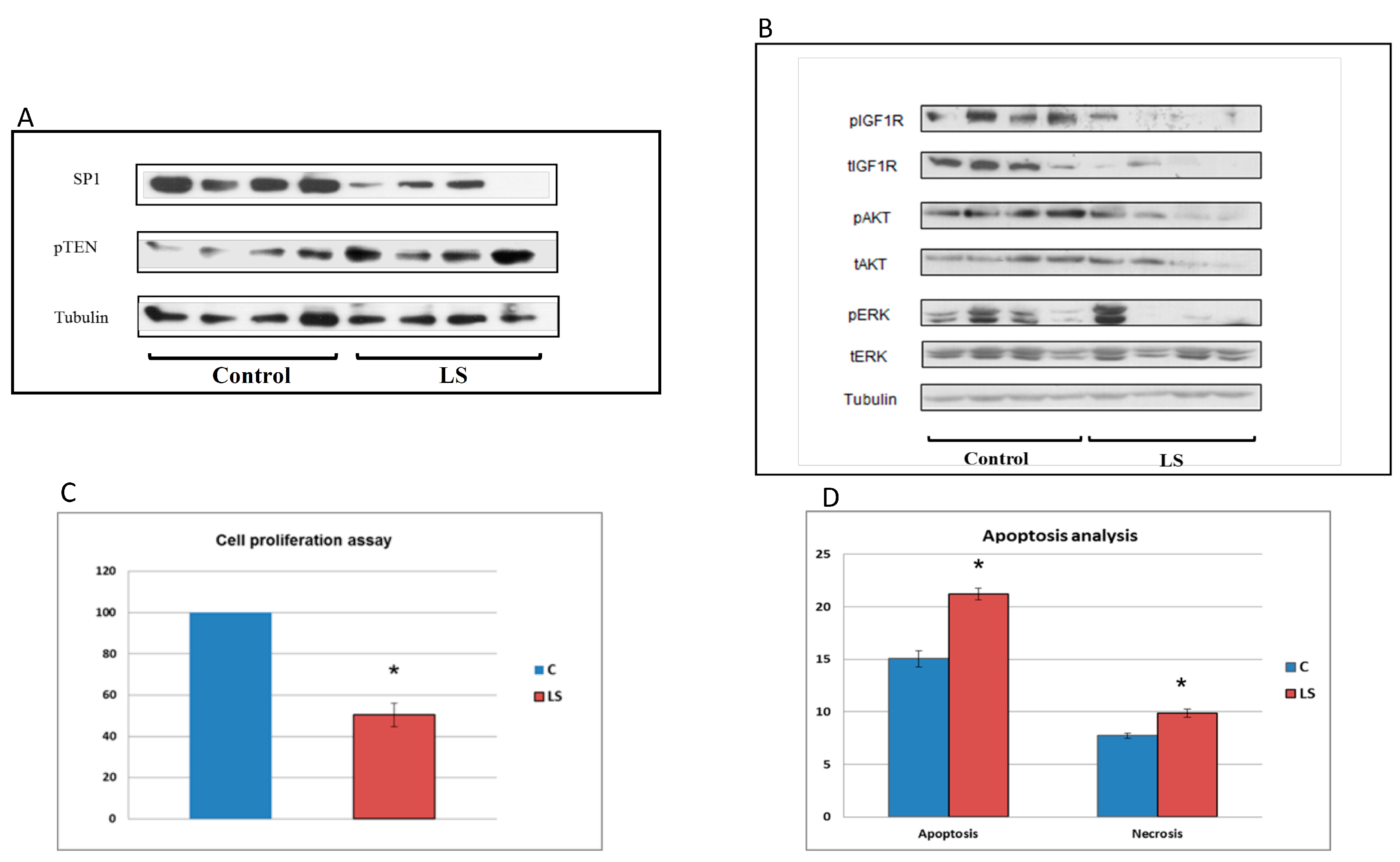 Cells 08 00596 g004 Cells 08 00596 g004