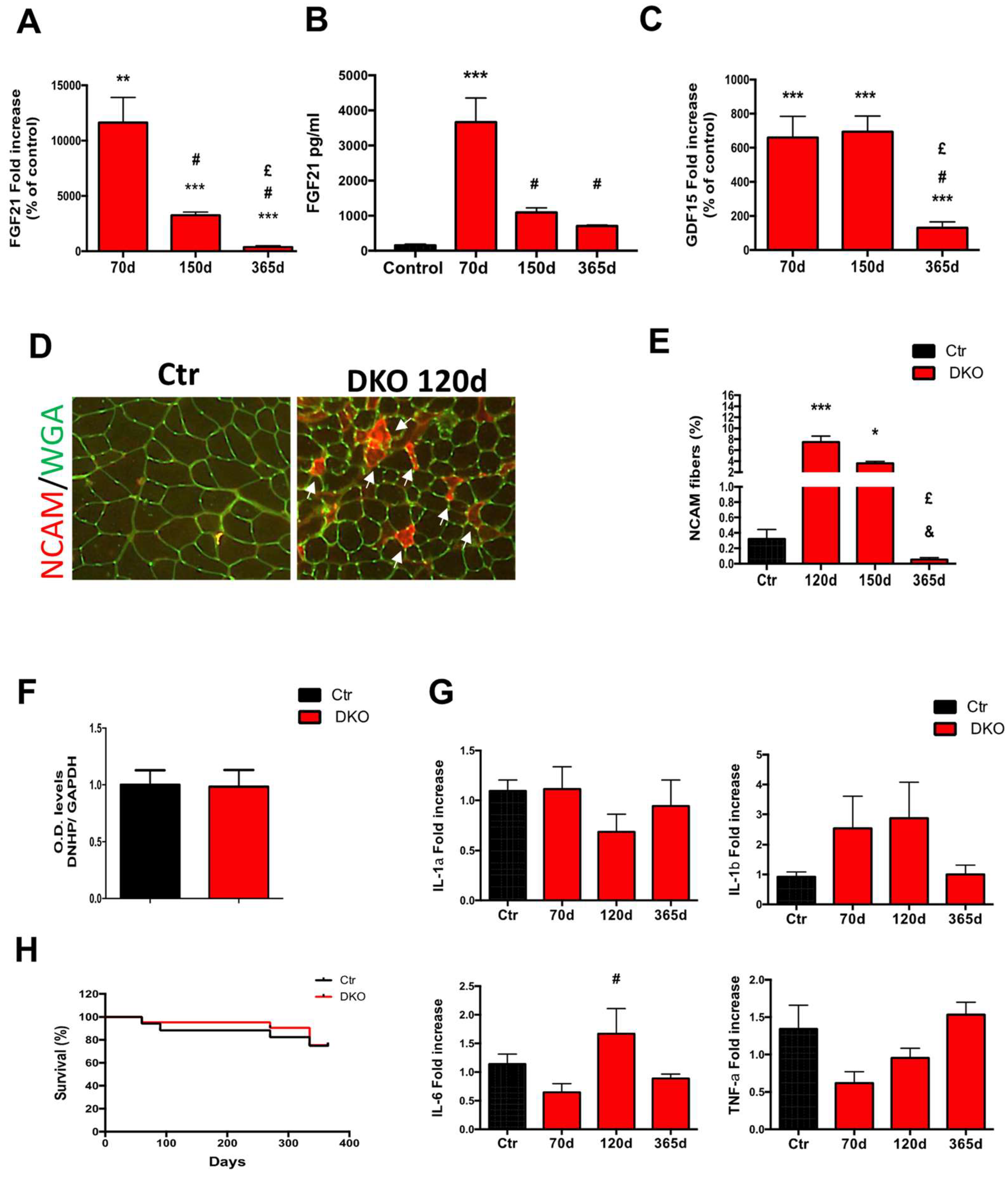 Cells 08 00597 g004 Cells 08 00597 g004