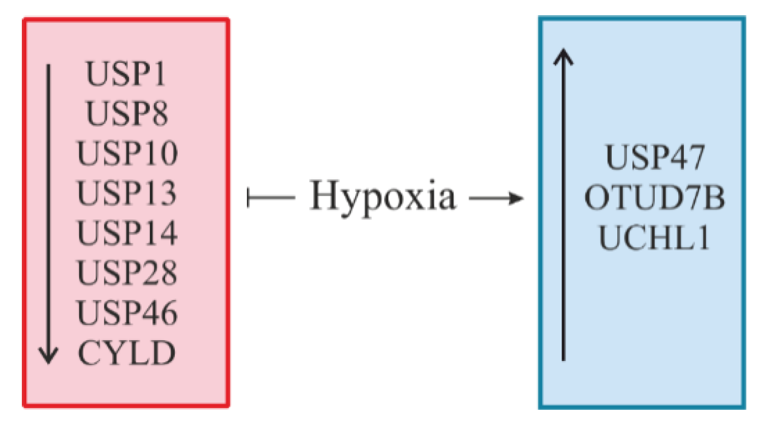 Cells 08 00598 g008 Cells 08 00598 g008