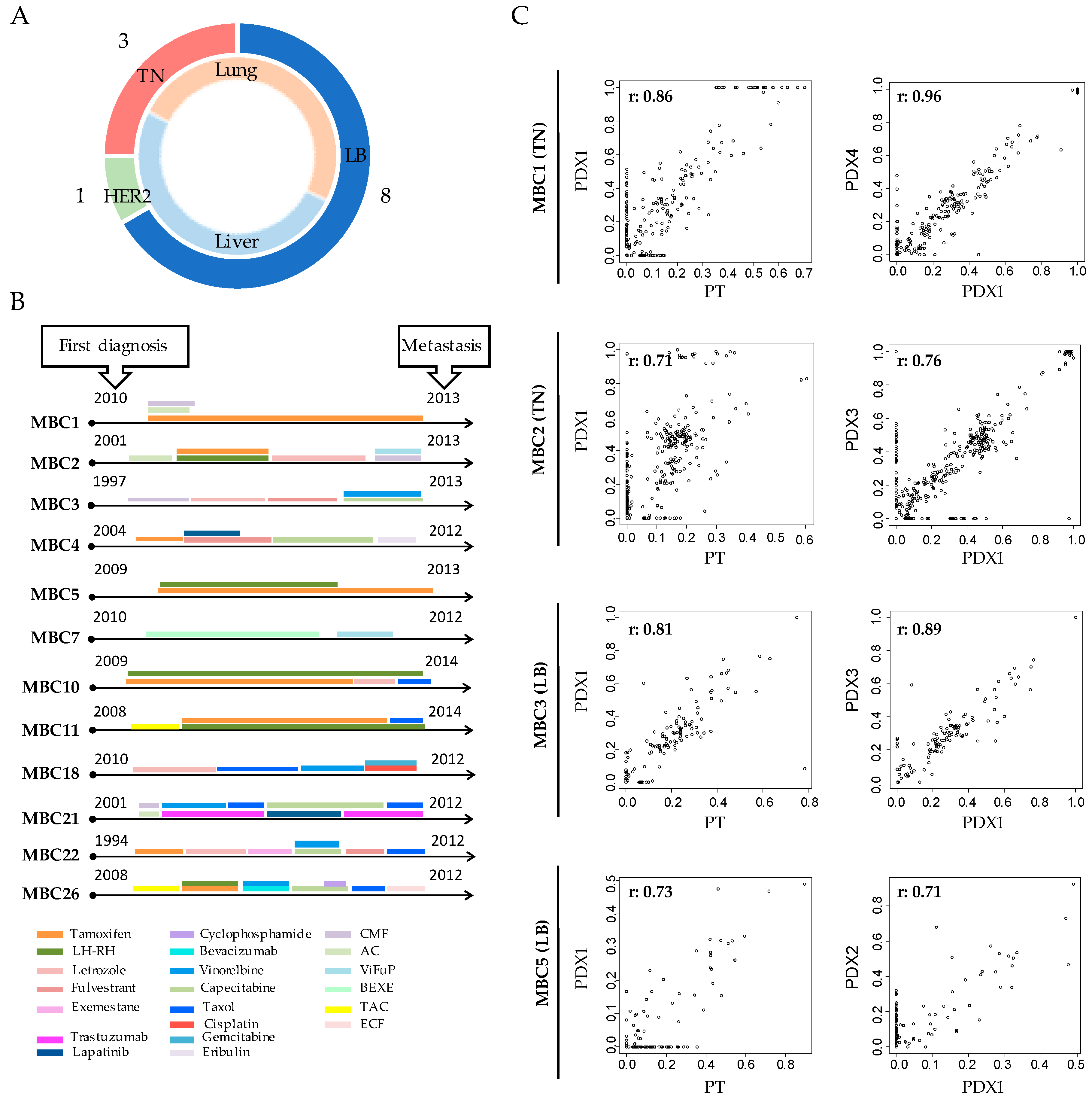 Cells 08 00605 g001 Cells 08 00605 g001