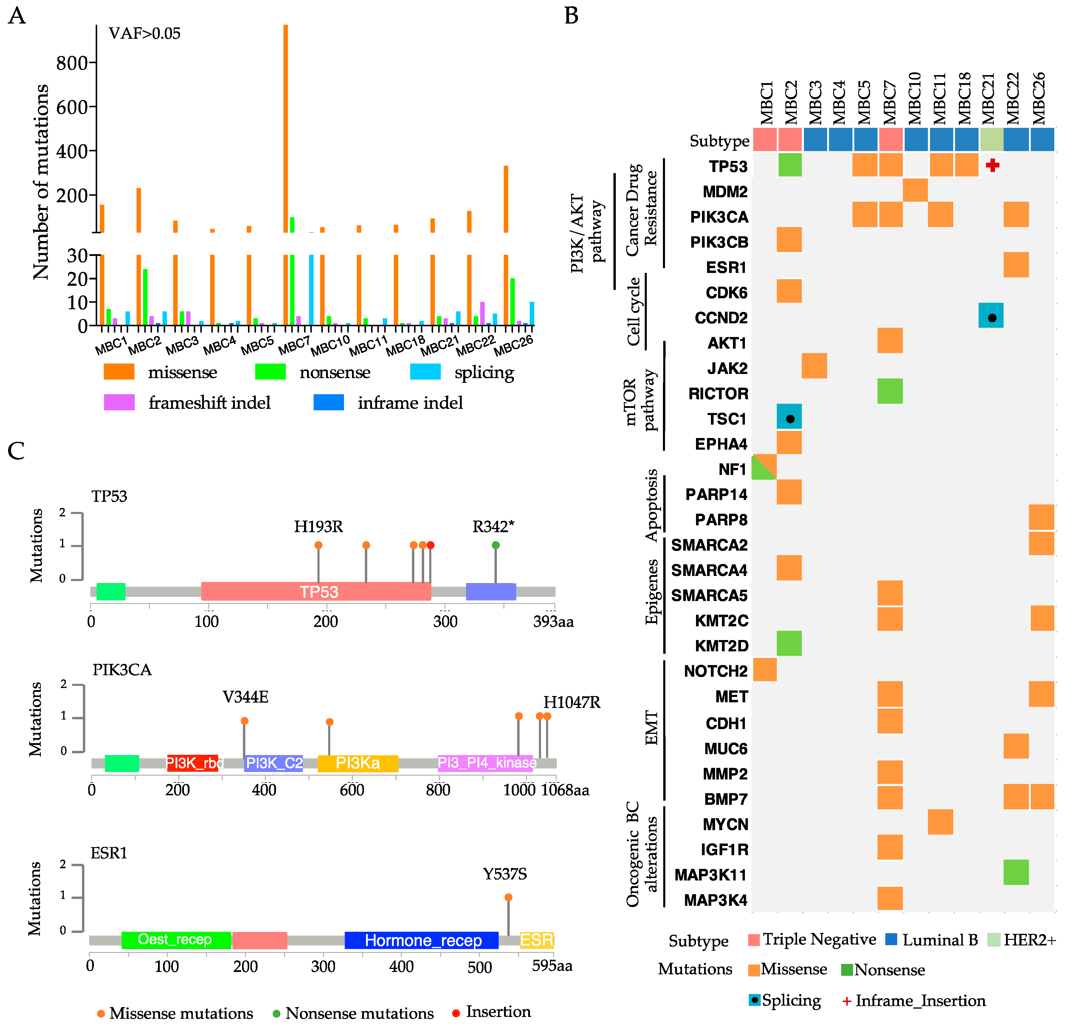 Cells 08 00605 g002 Cells 08 00605 g002