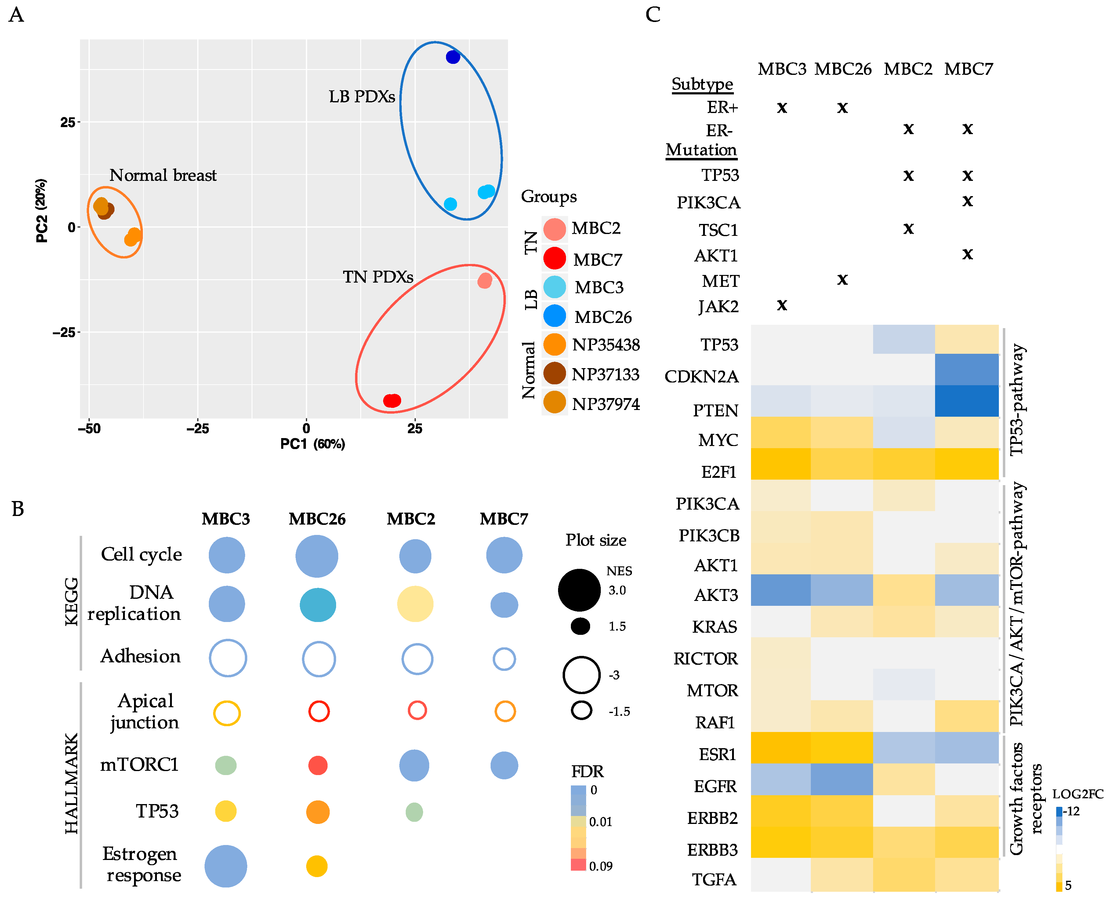 Cells 08 00605 g003 Cells 08 00605 g003