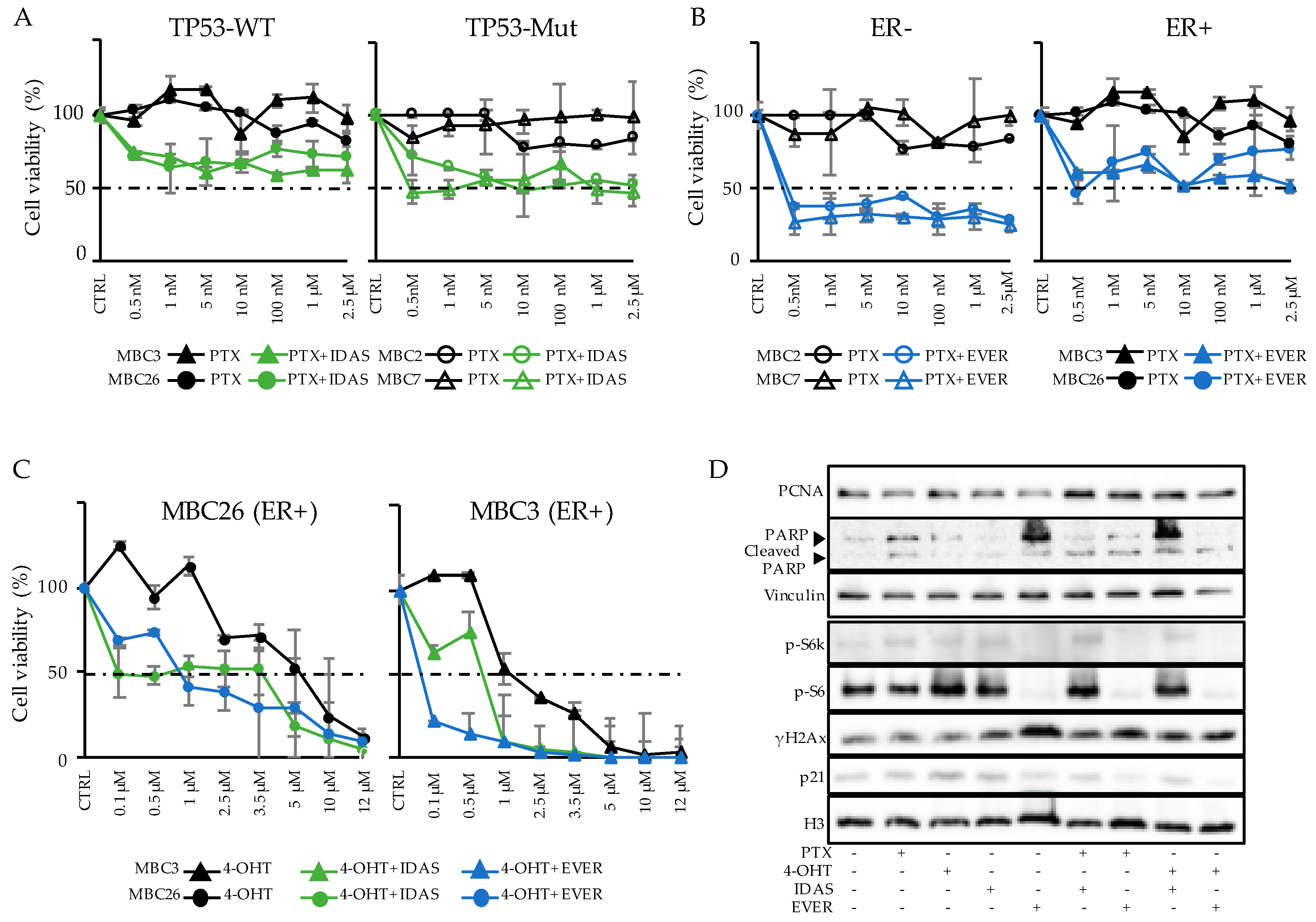 Cells 08 00605 g005 Cells 08 00605 g005