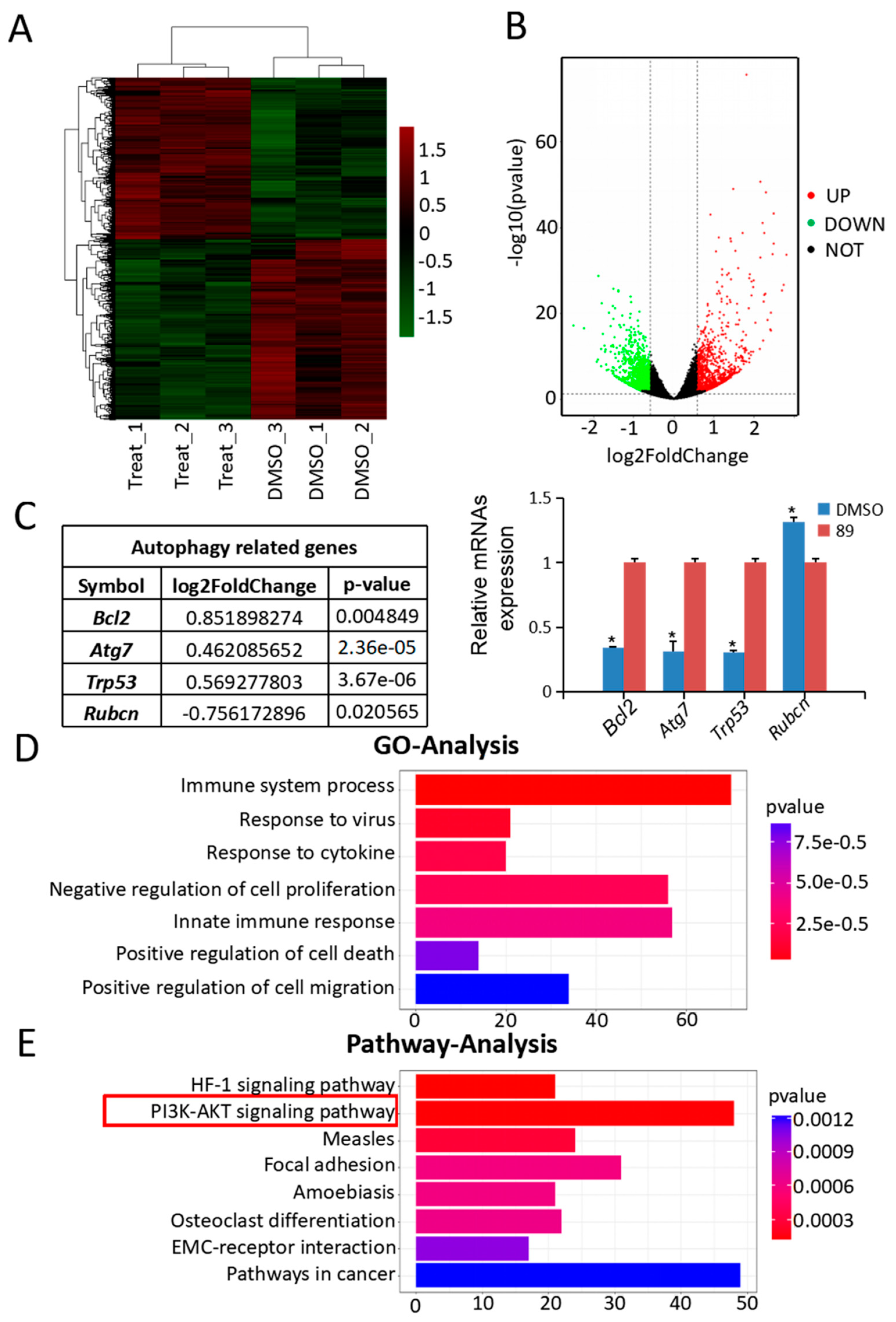 Cells 08 00606 g003 Cells 08 00606 g003
