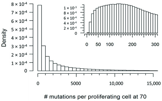 Cells | Free Full-Text | Mitochondrial DNA Variants and Common 