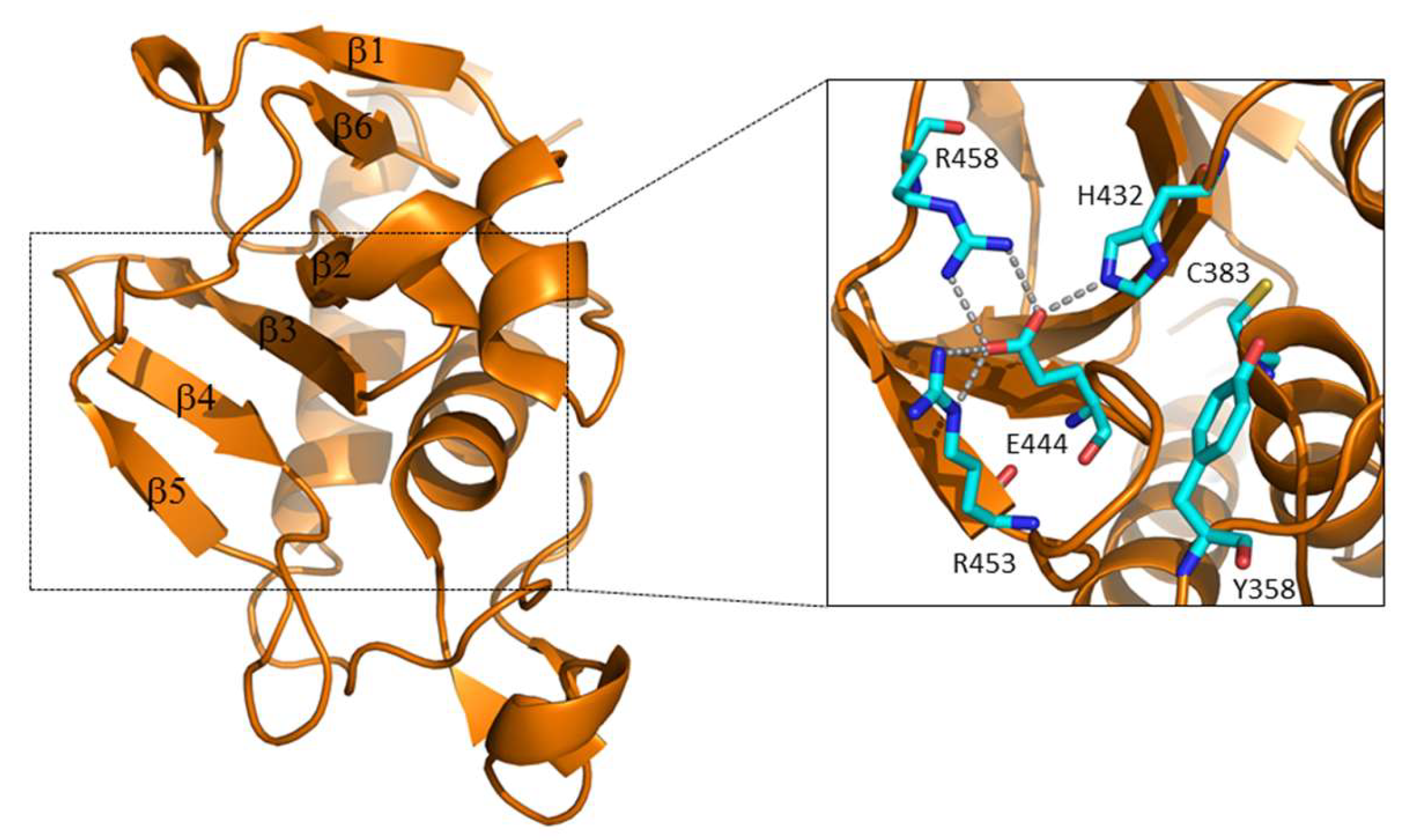 Cells 08 00609 g004 Cells 08 00609 g004