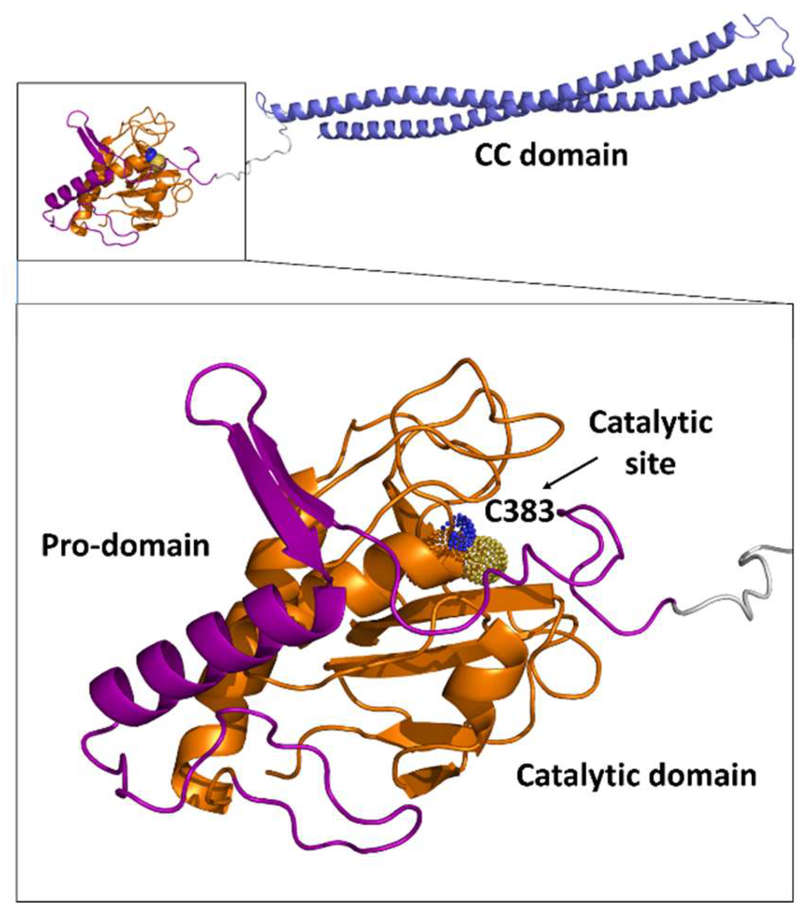 Cells 08 00609 g006 Cells 08 00609 g006