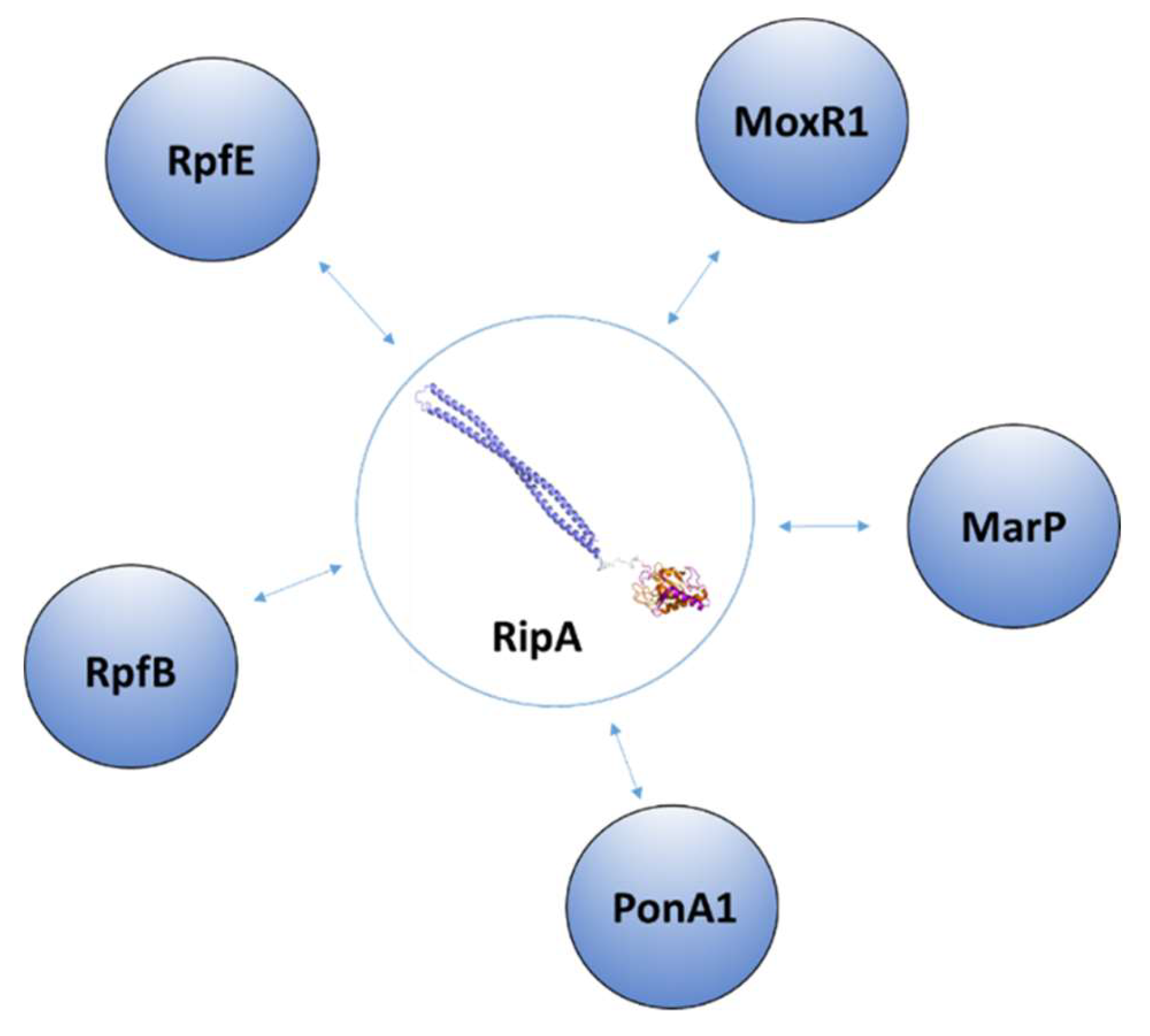 Cells 08 00609 g009 Cells 08 00609 g009