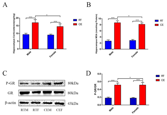Cells Free Full Text Cortisol Excess Mediated Mitochondrial Damage Induced Hippocampal Neuronal Apoptosis In Mice Following Cold Exposure Html