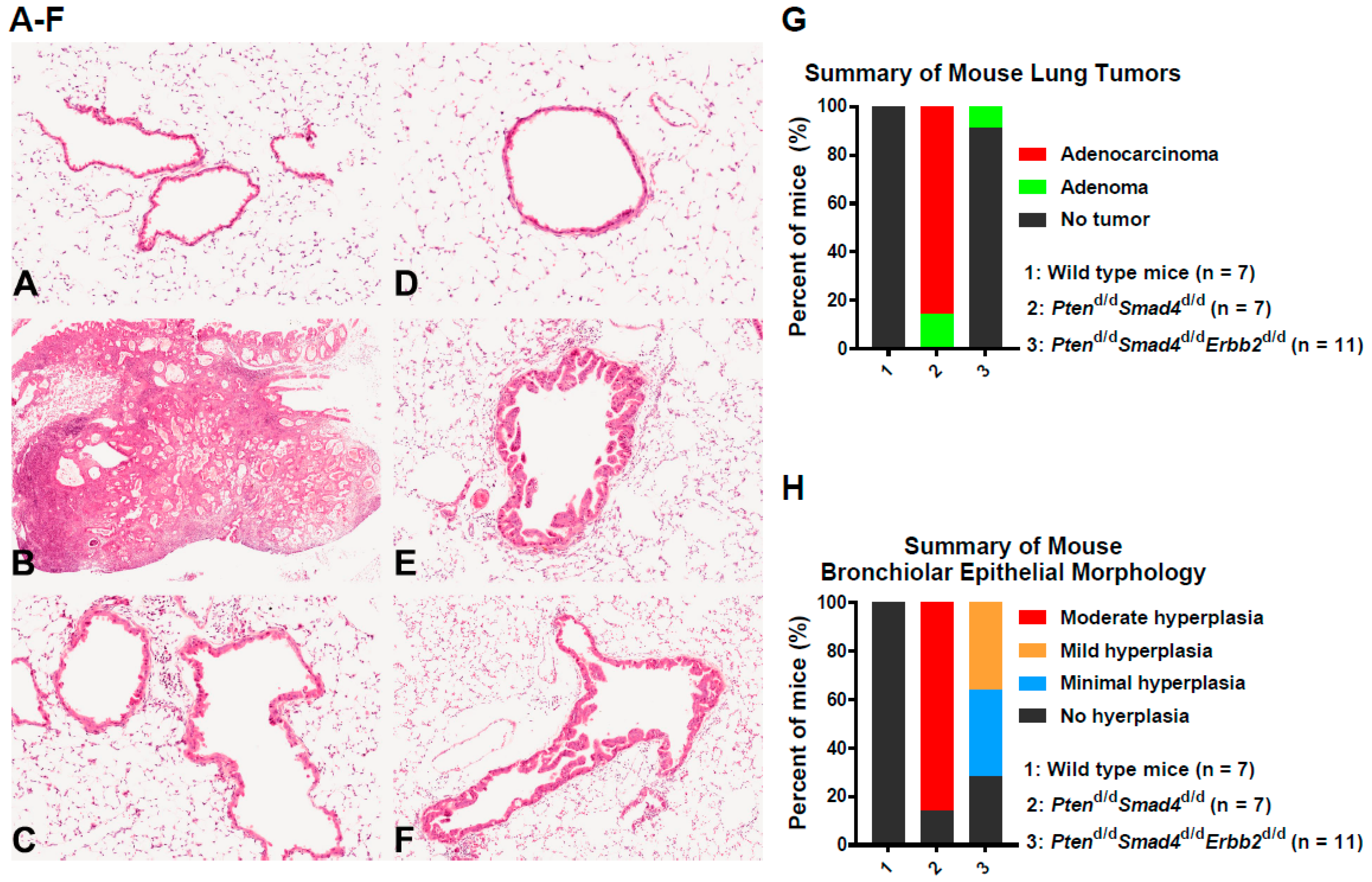 Cells 08 00615 g001
