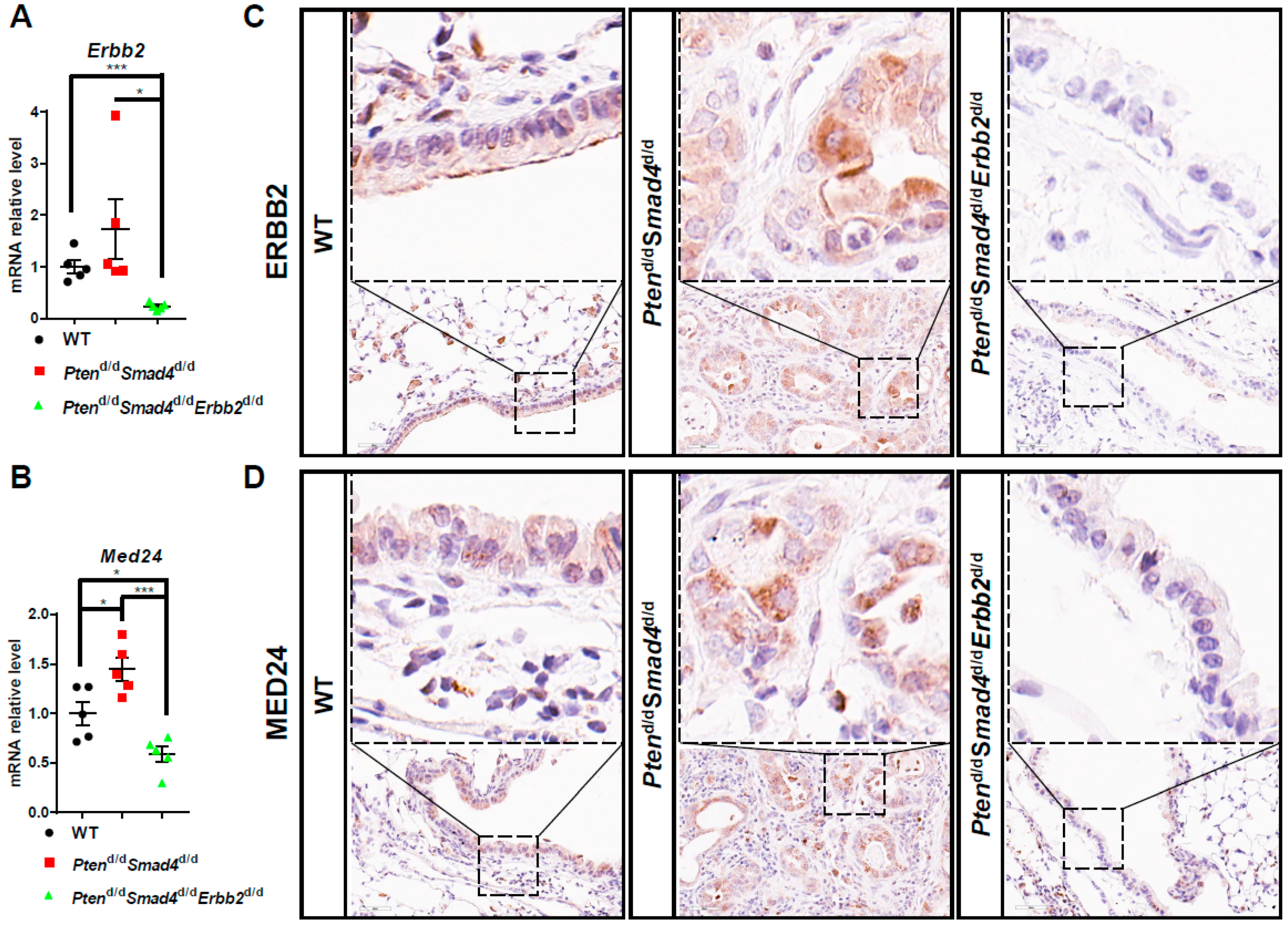 Cells 08 00615 g004