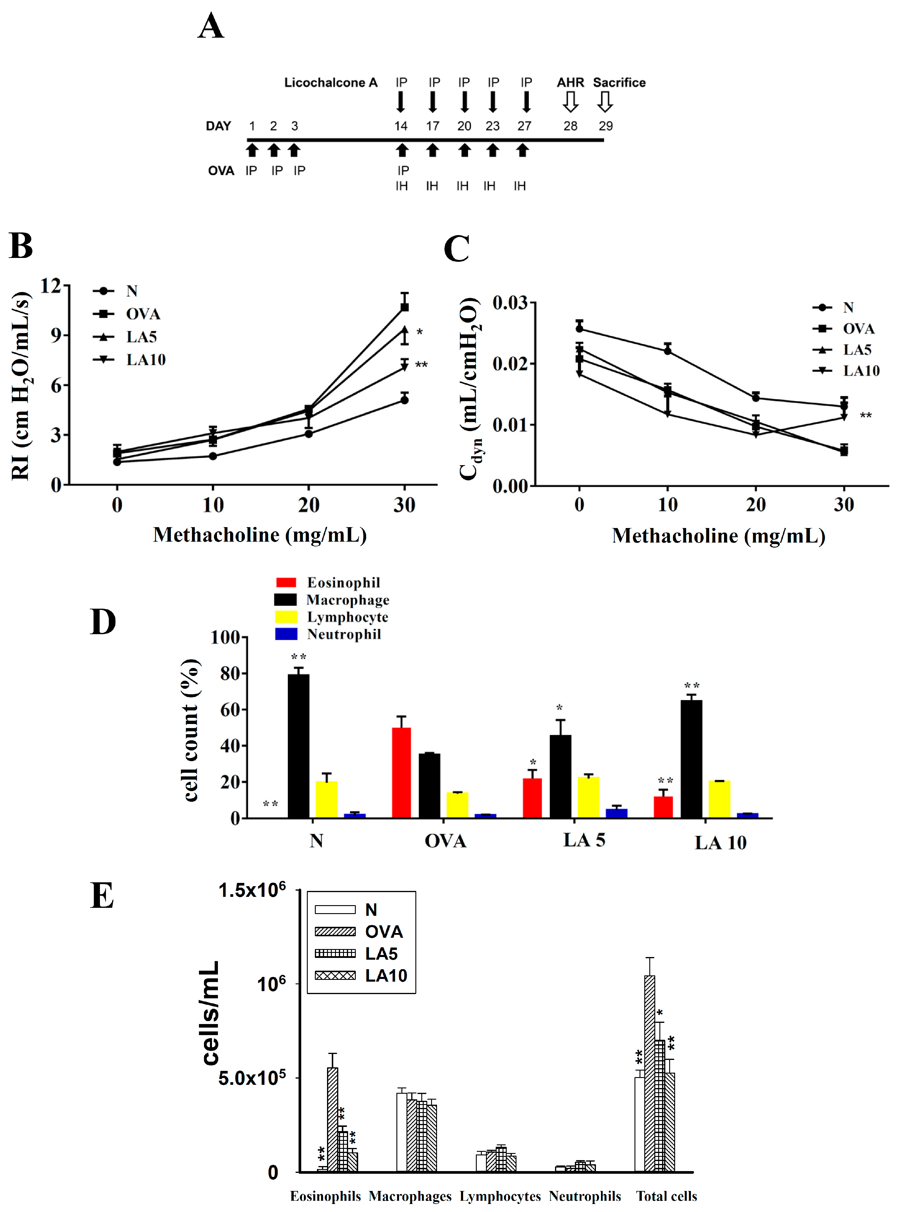 Cells 08 00617 g001 Cells 08 00617 g001