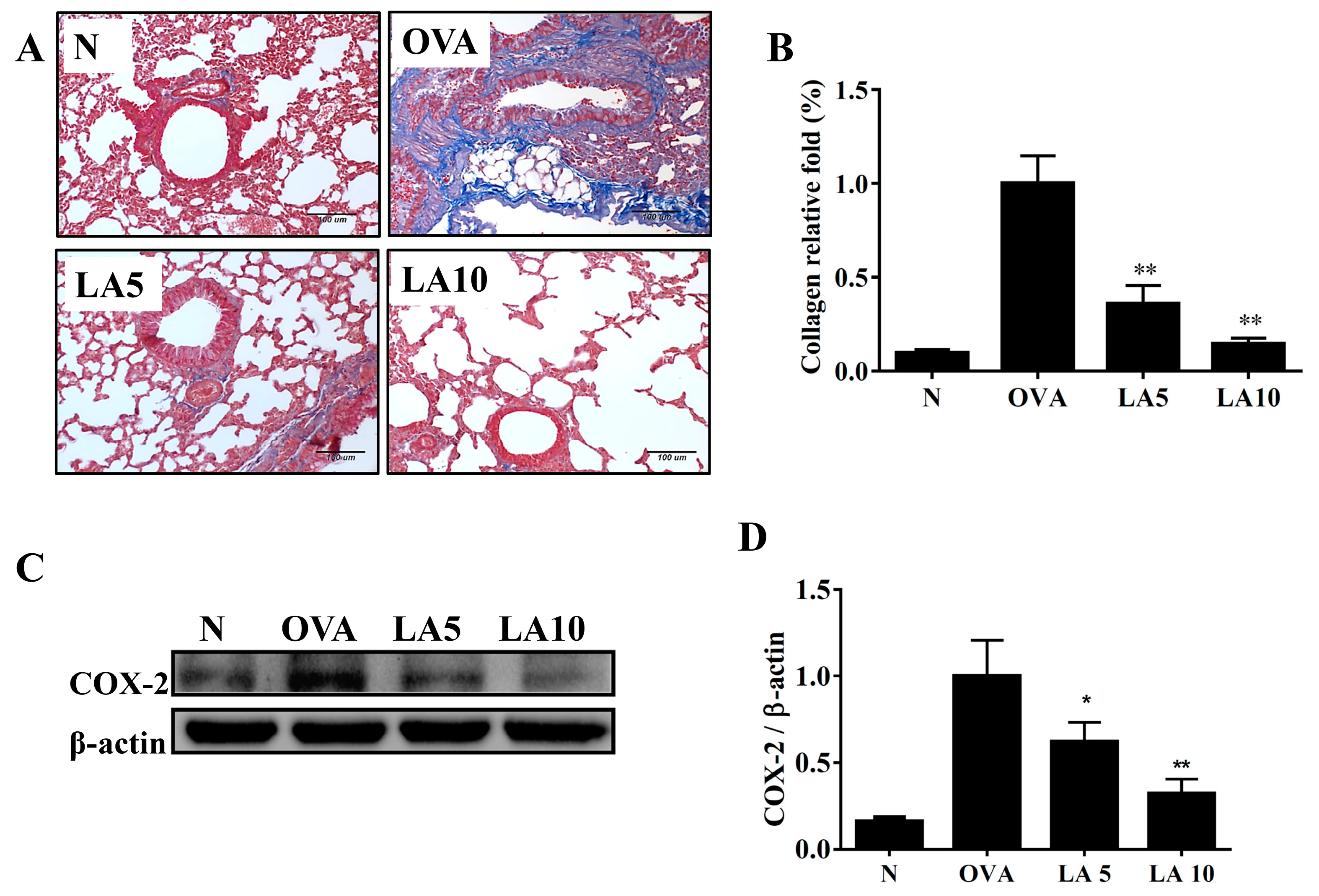 Cells 08 00617 g003 Cells 08 00617 g003