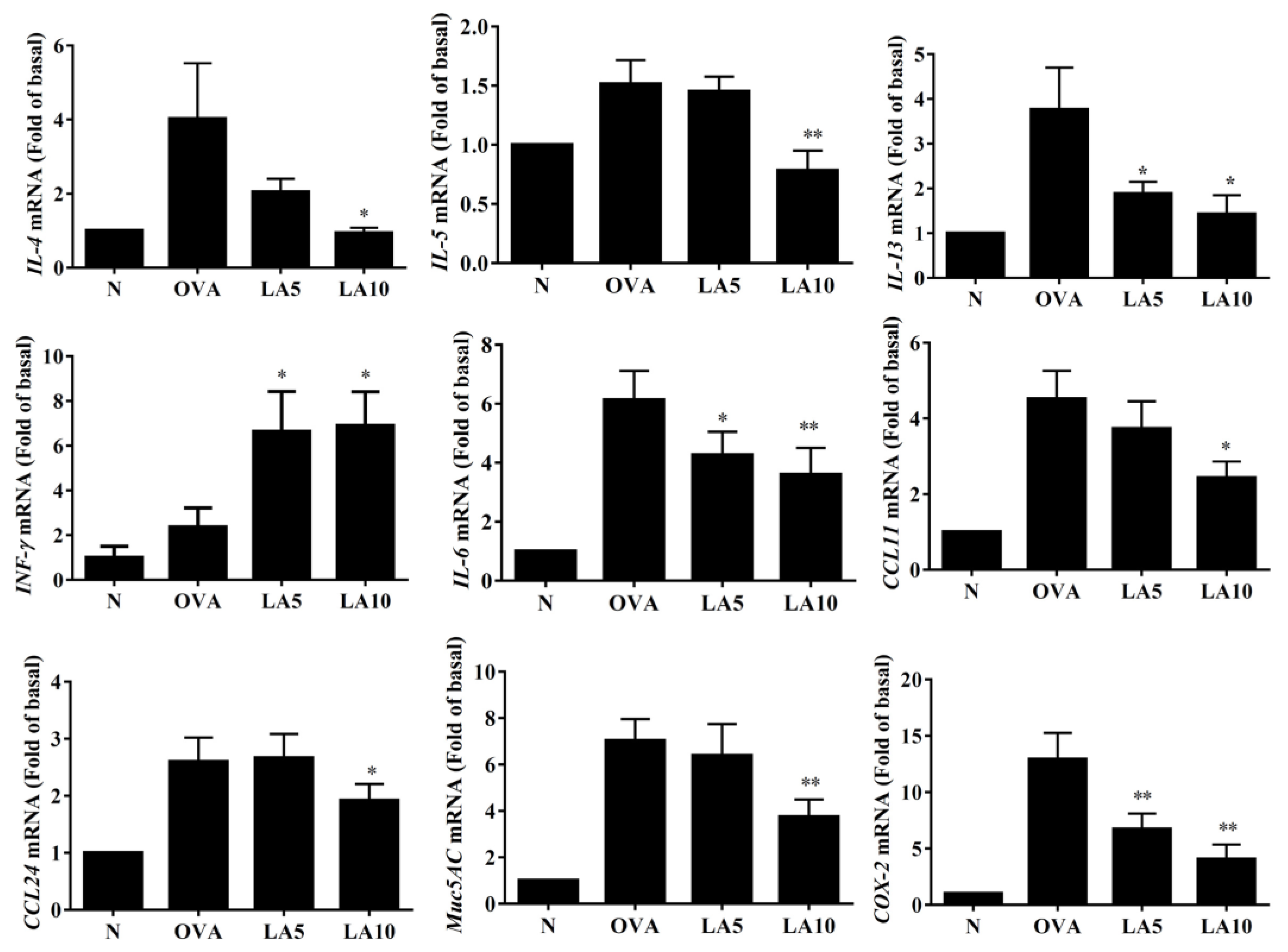 Cells 08 00617 g005 Cells 08 00617 g005
