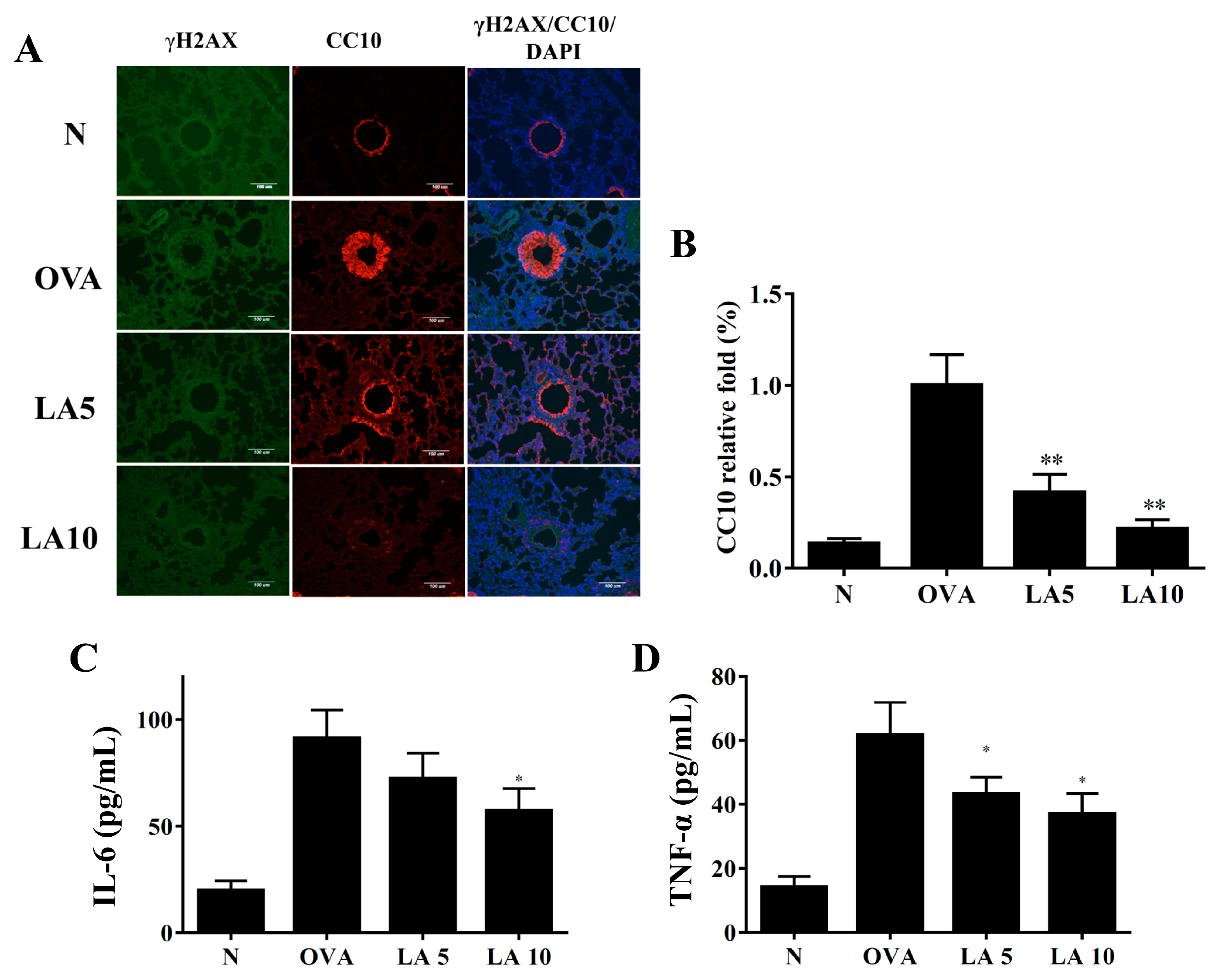 Cells 08 00617 g007 Cells 08 00617 g007