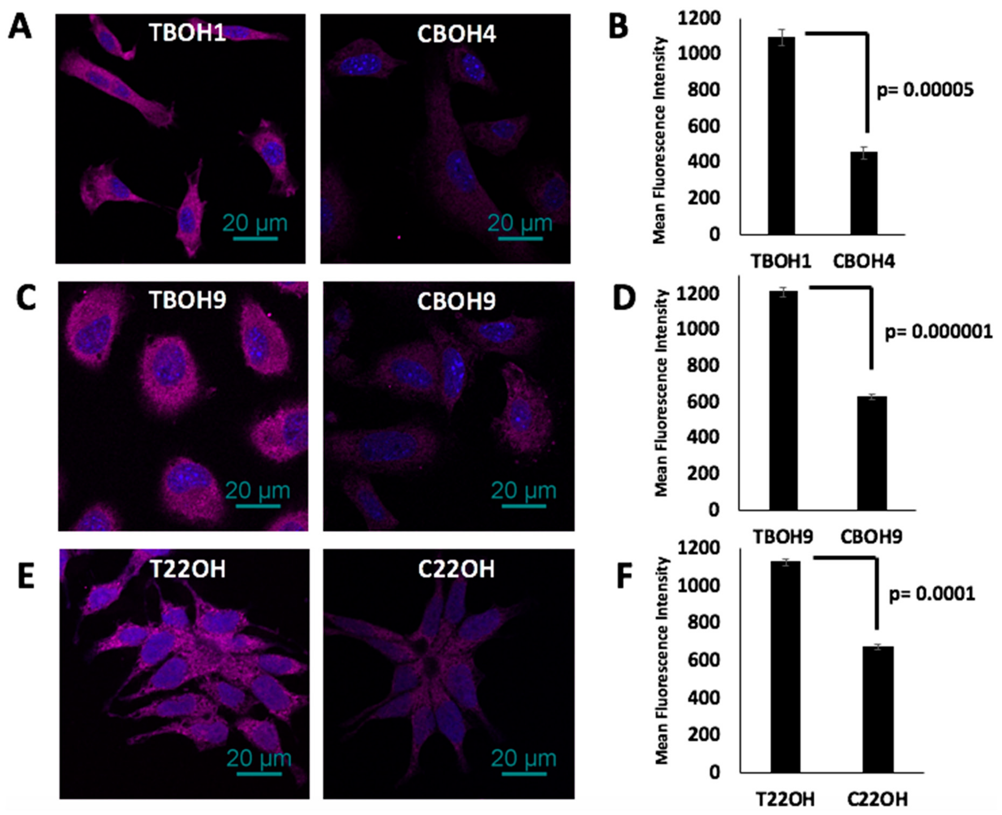 Cells 08 00618 g007 Cells 08 00618 g007