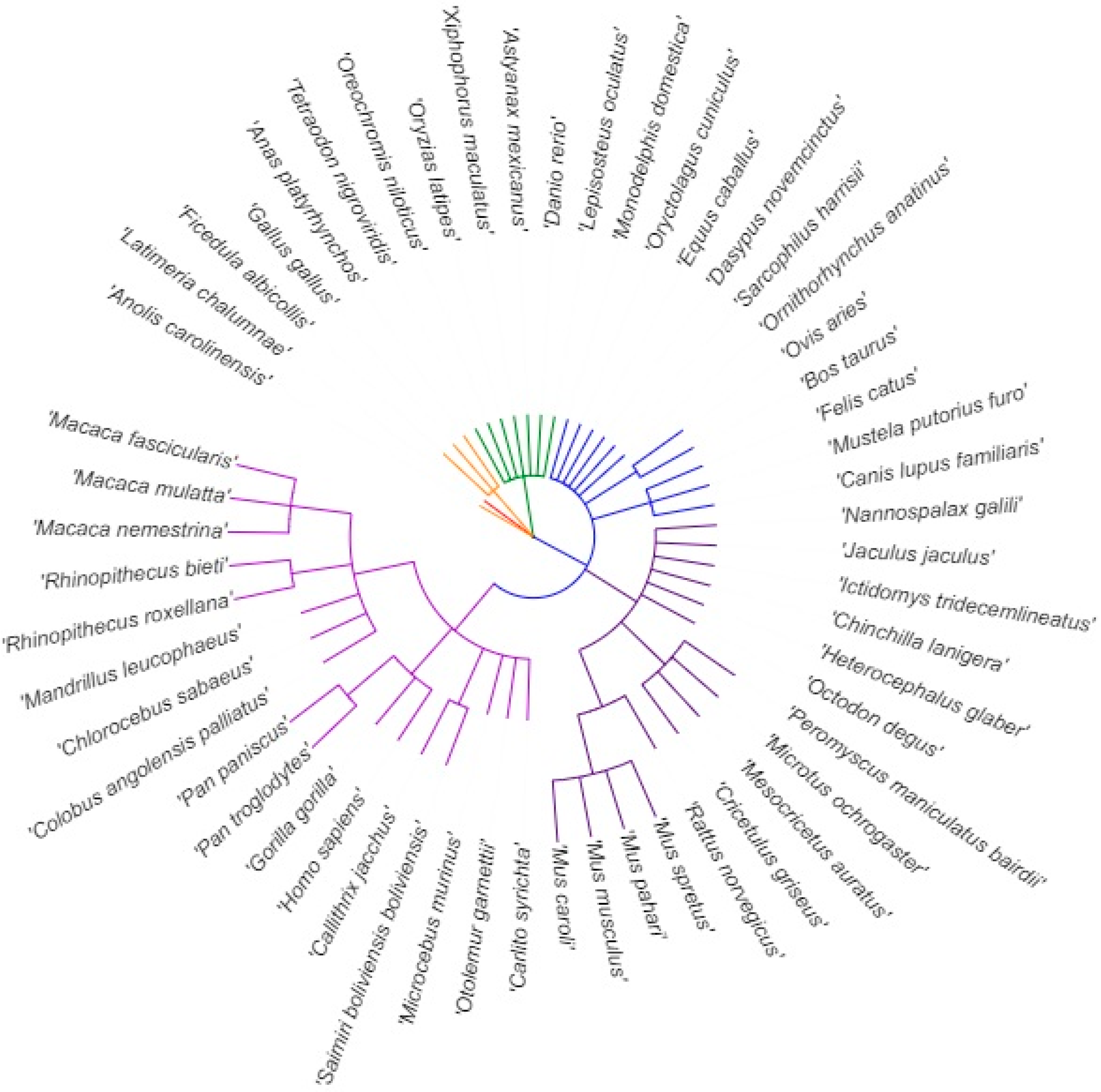 Cells 08 00623 g002 Cells 08 00623 g002