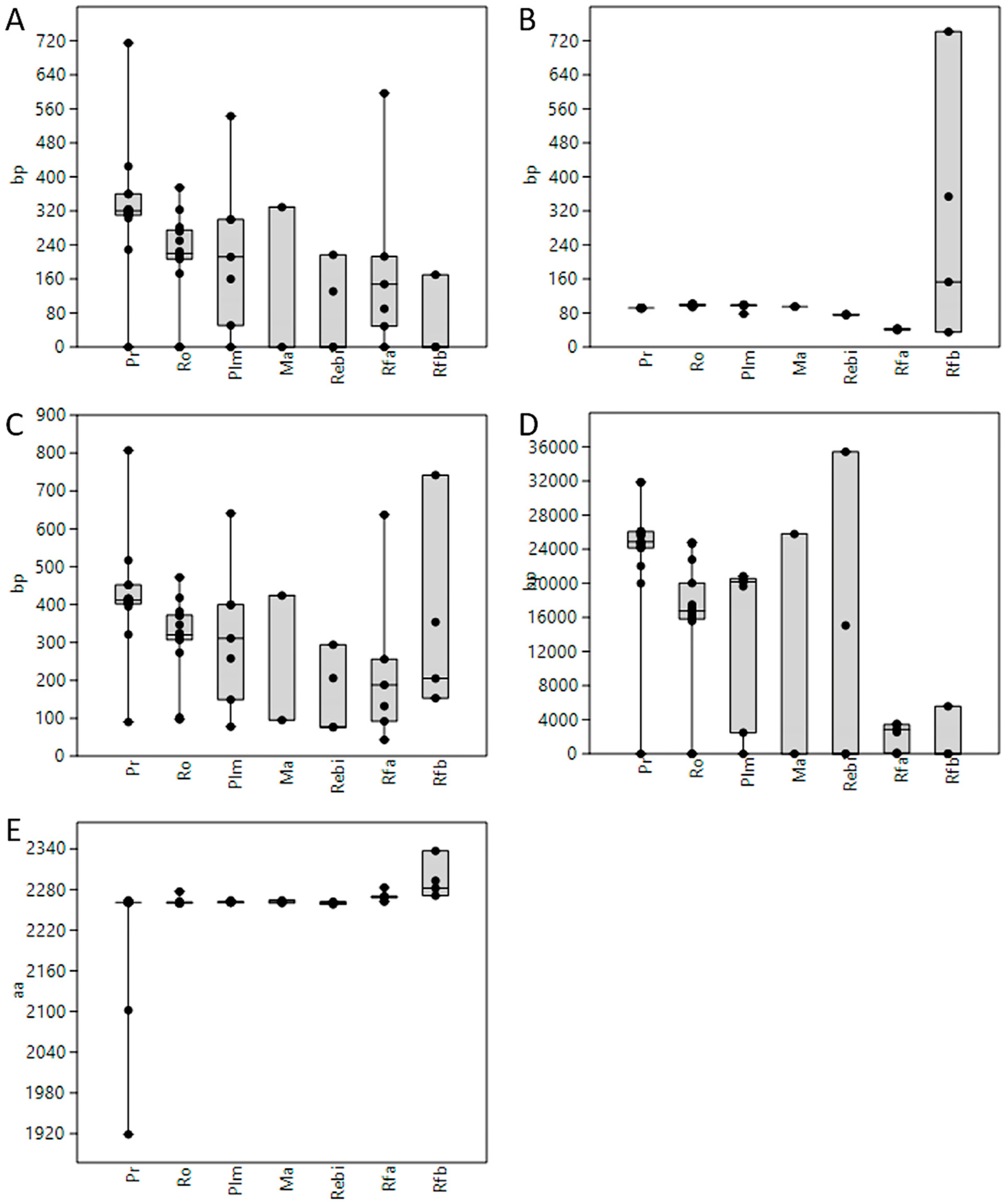 Cells 08 00623 g004 Cells 08 00623 g004