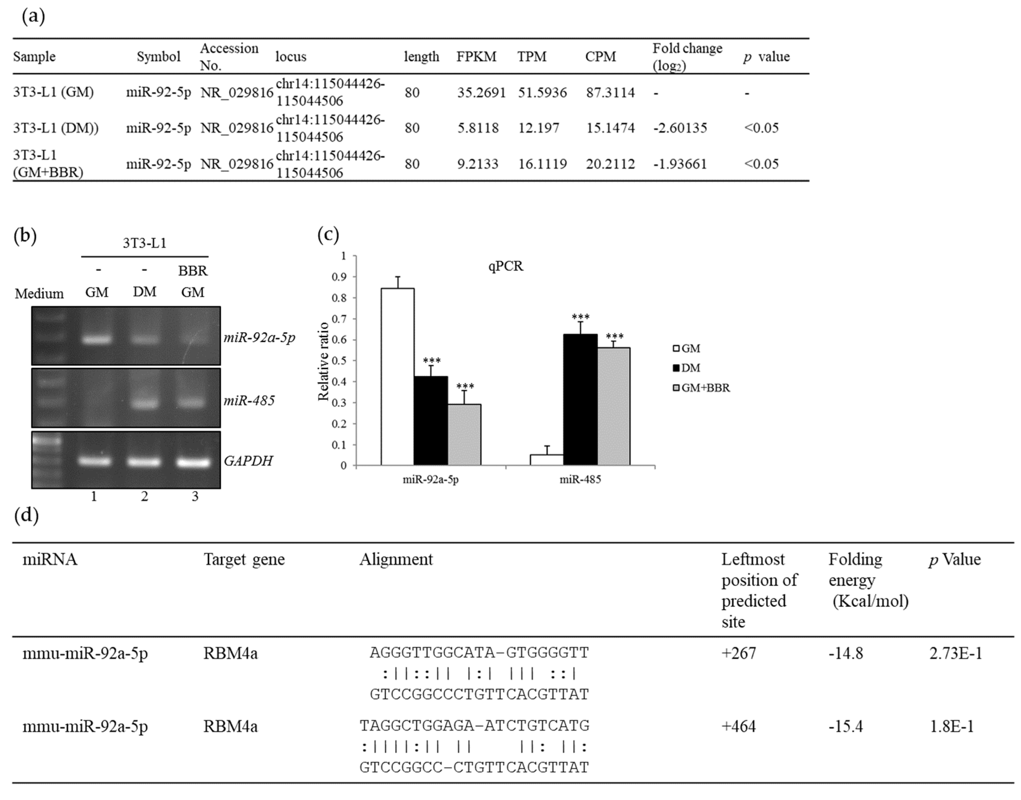 Cells 08 00632 g003 Cells 08 00632 g003