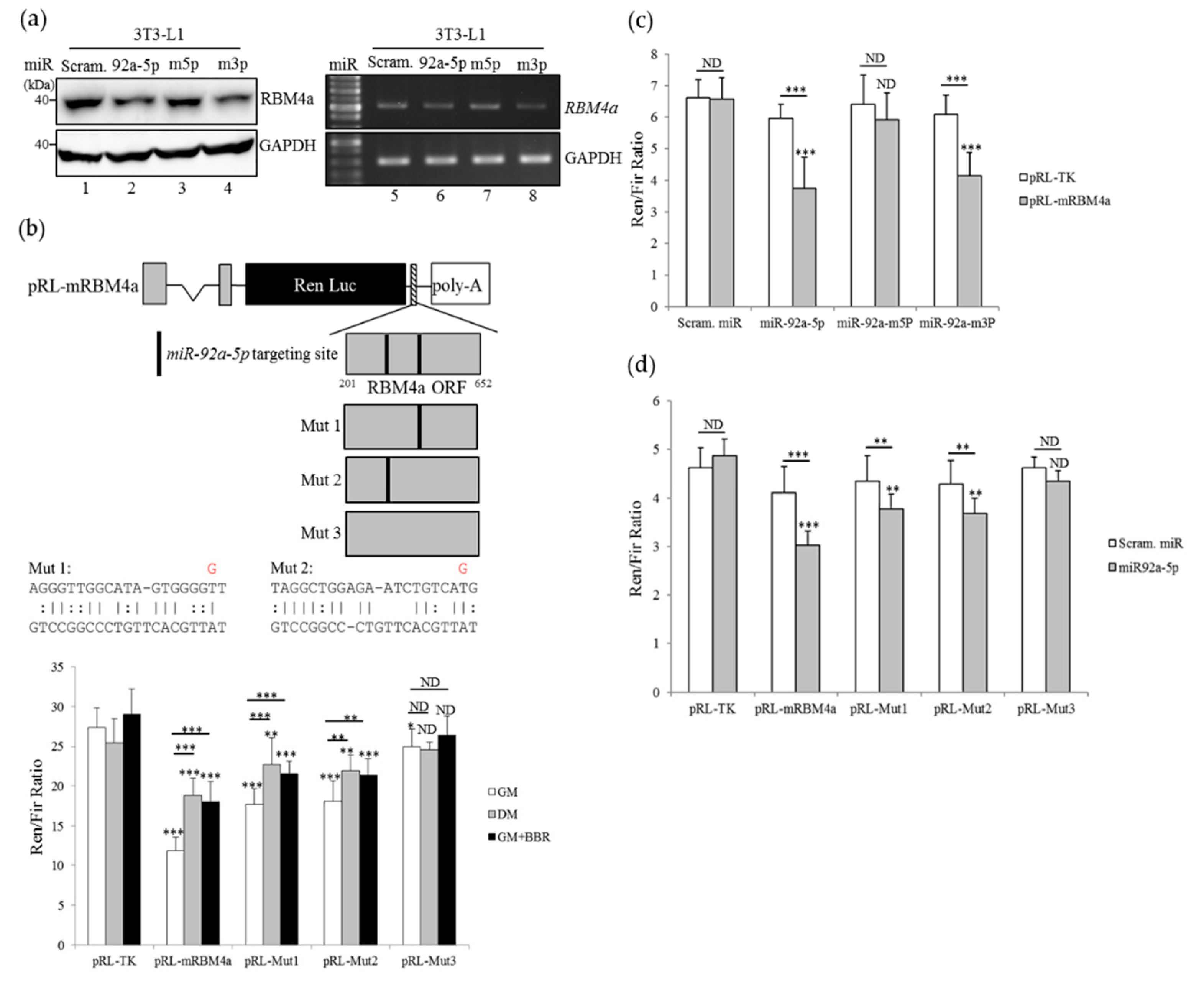Cells 08 00632 g005 Cells 08 00632 g005