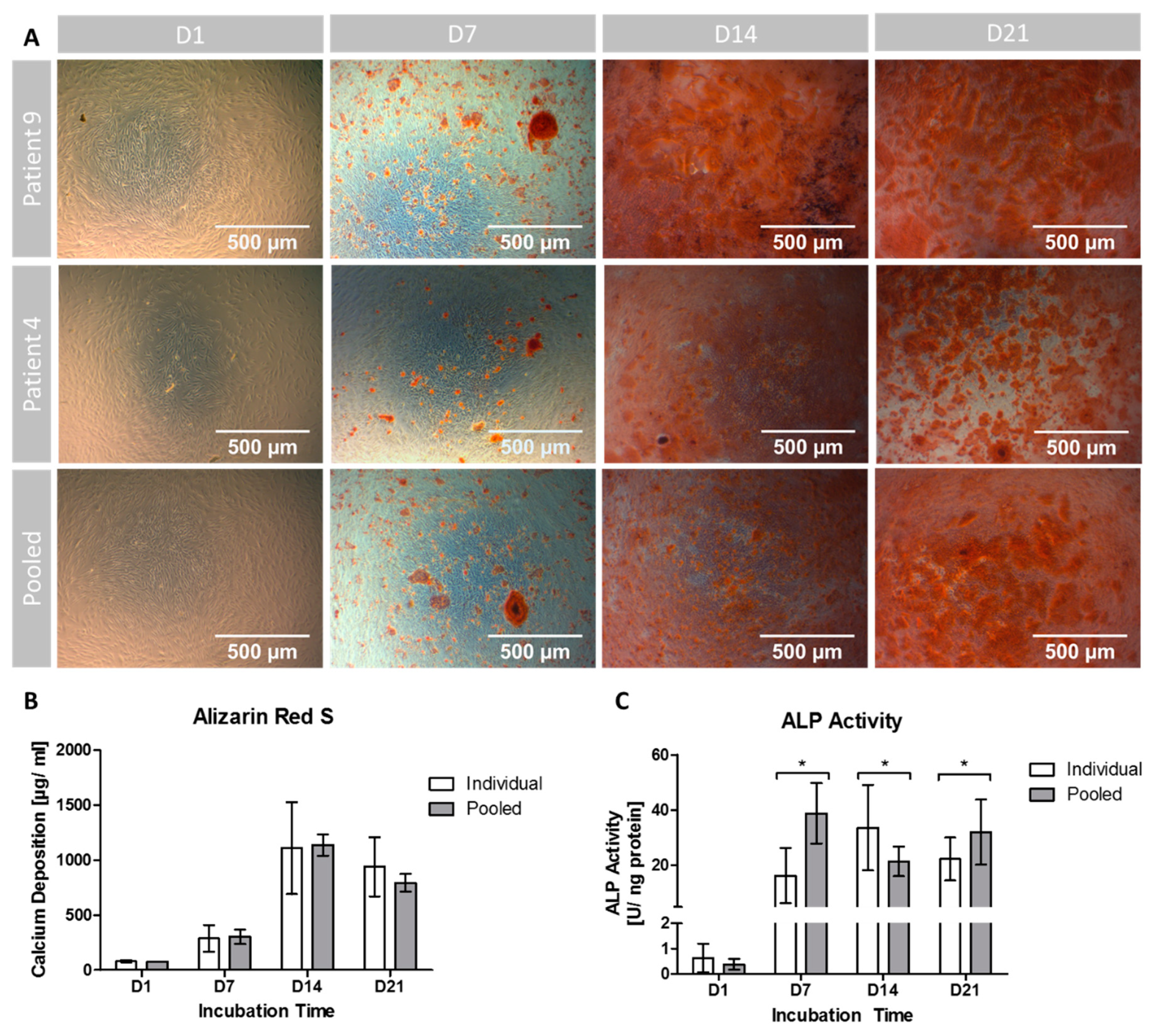Cells 08 00633 g003 Cells 08 00633 g003