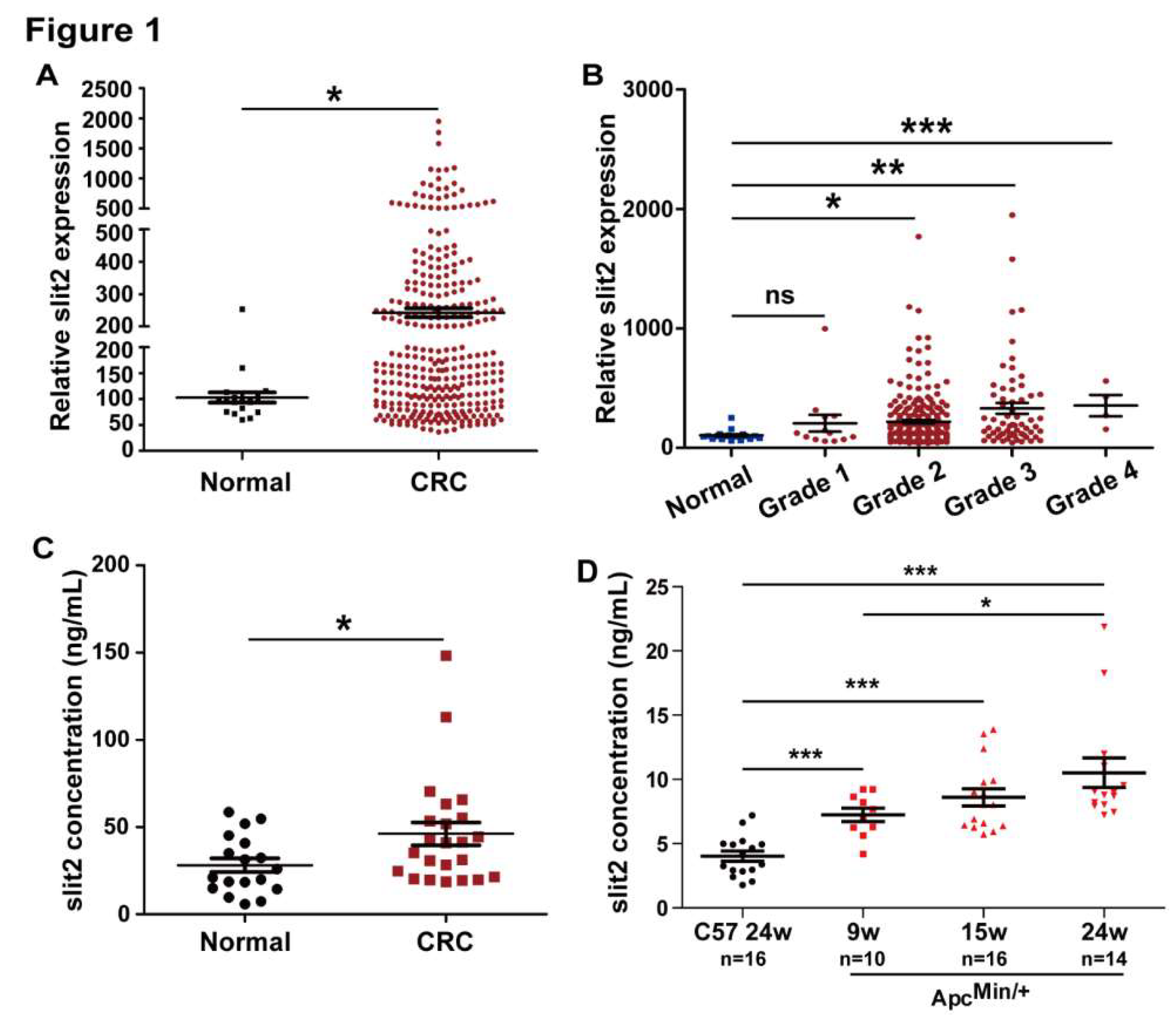 Cells 08 00635 g001 Cells 08 00635 g001