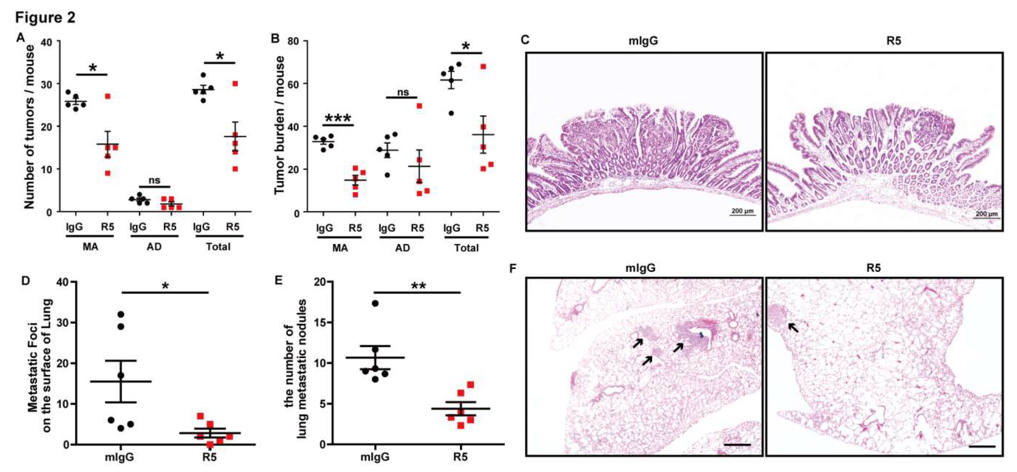 Cells 08 00635 g002 Cells 08 00635 g002