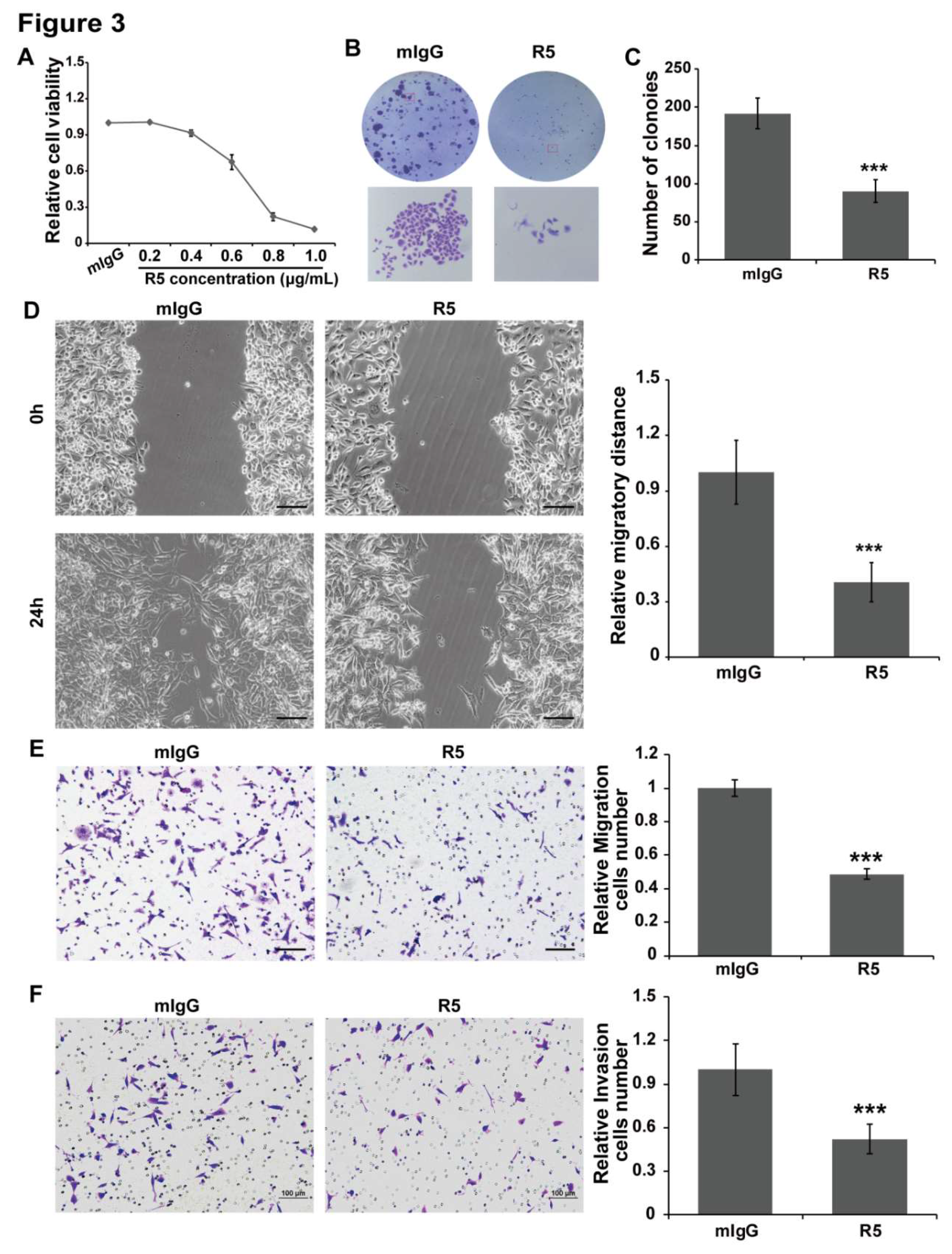 Cells 08 00635 g003 Cells 08 00635 g003