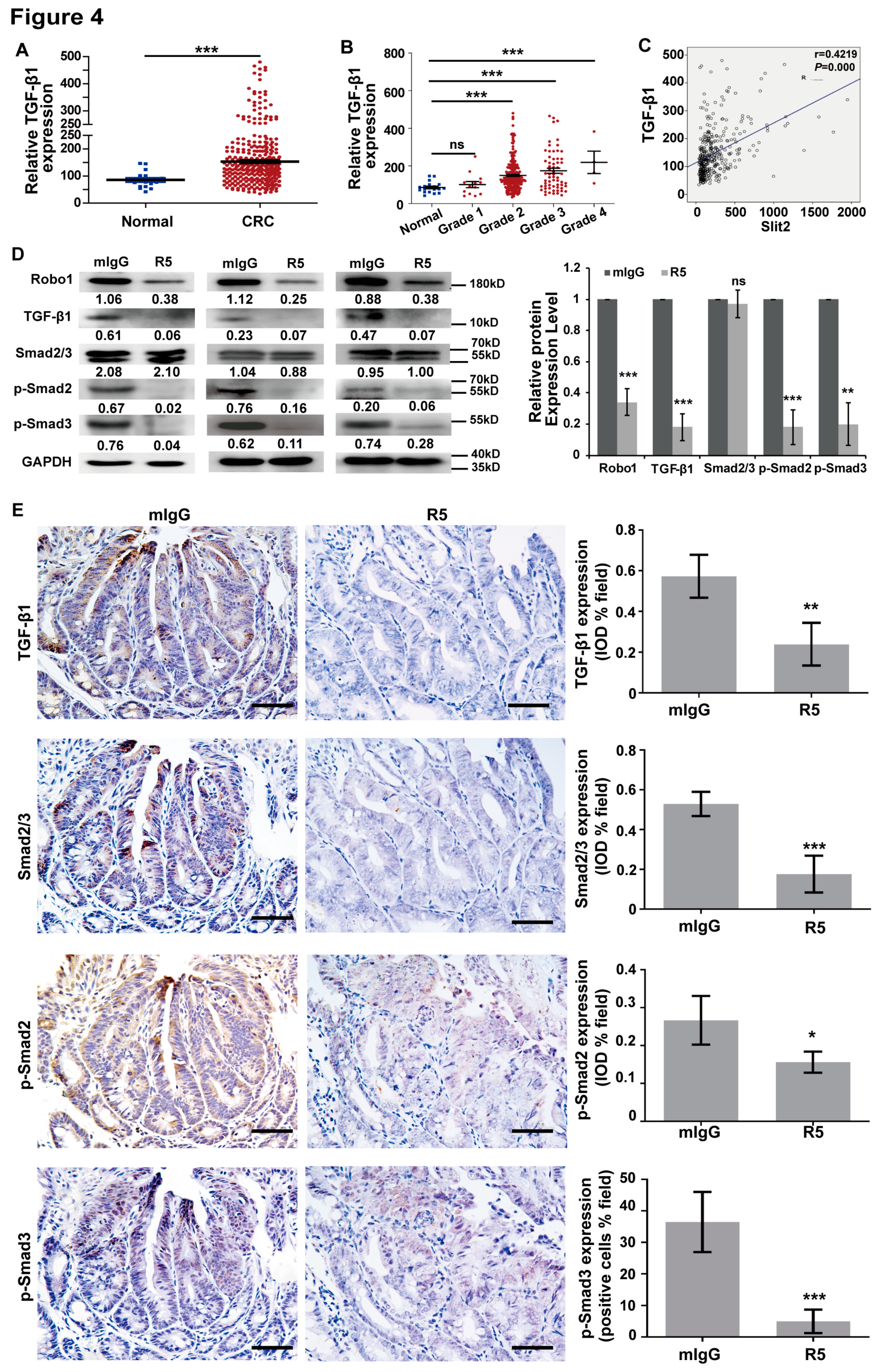 Cells 08 00635 g004 Cells 08 00635 g004