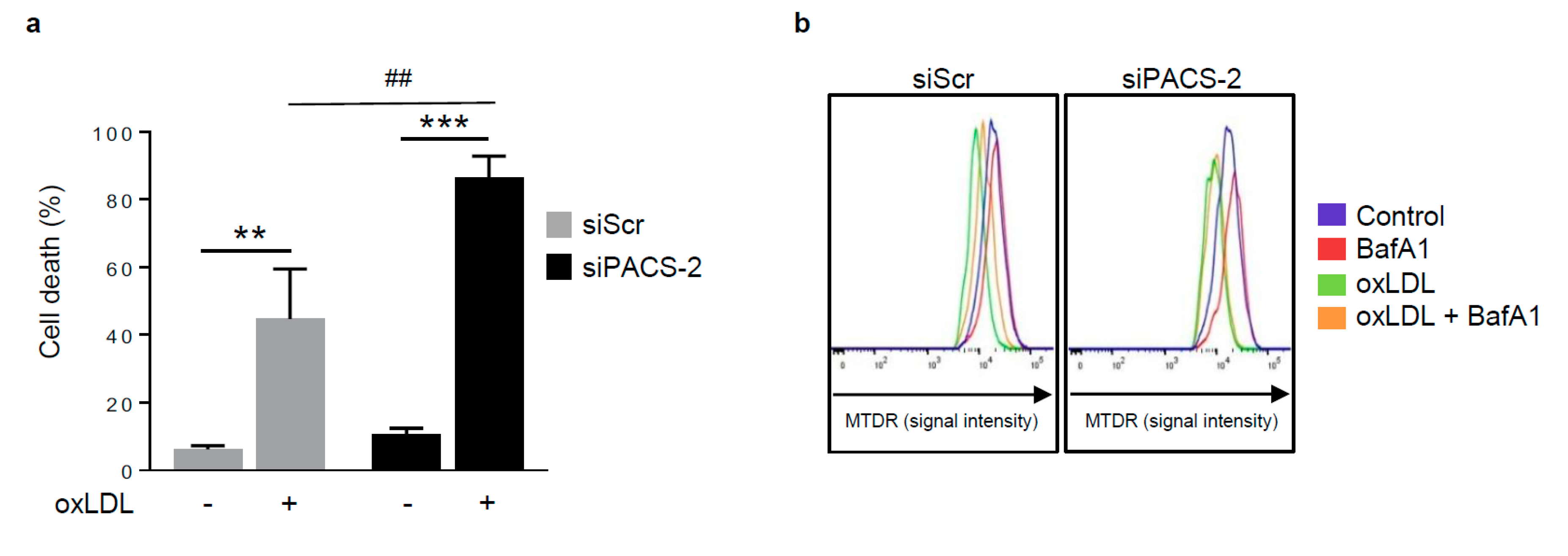 Cells 08 00638 g005a