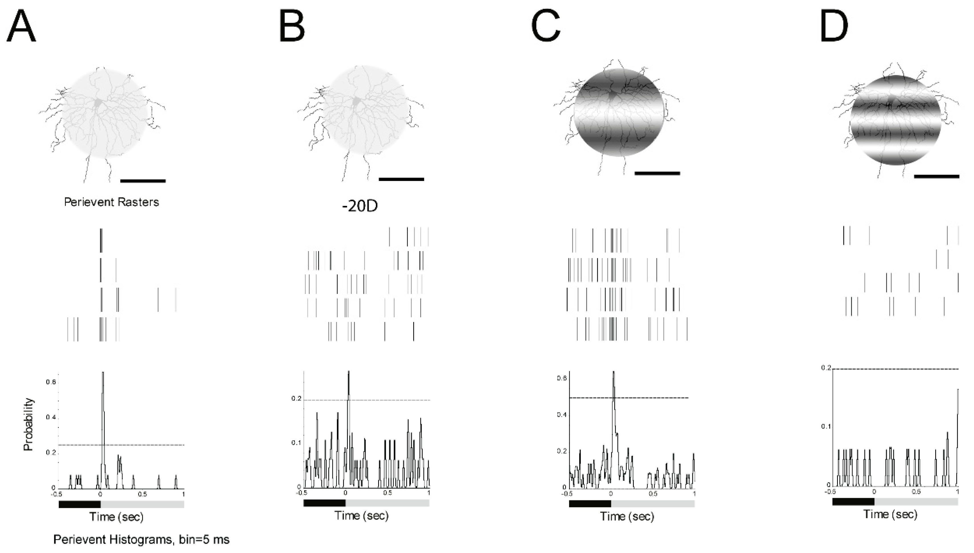Cells 08 00640 g004