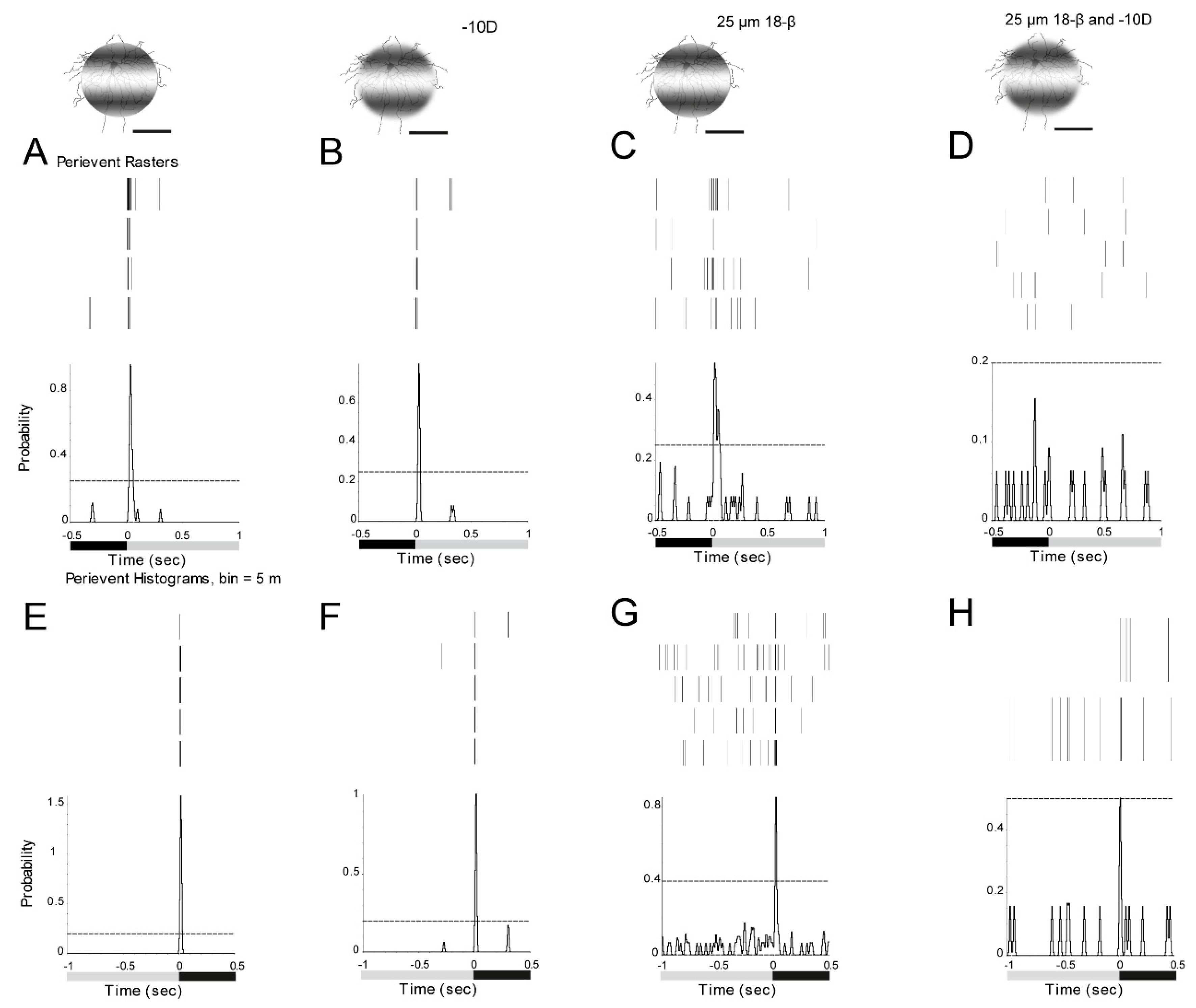 Cells 08 00640 g007