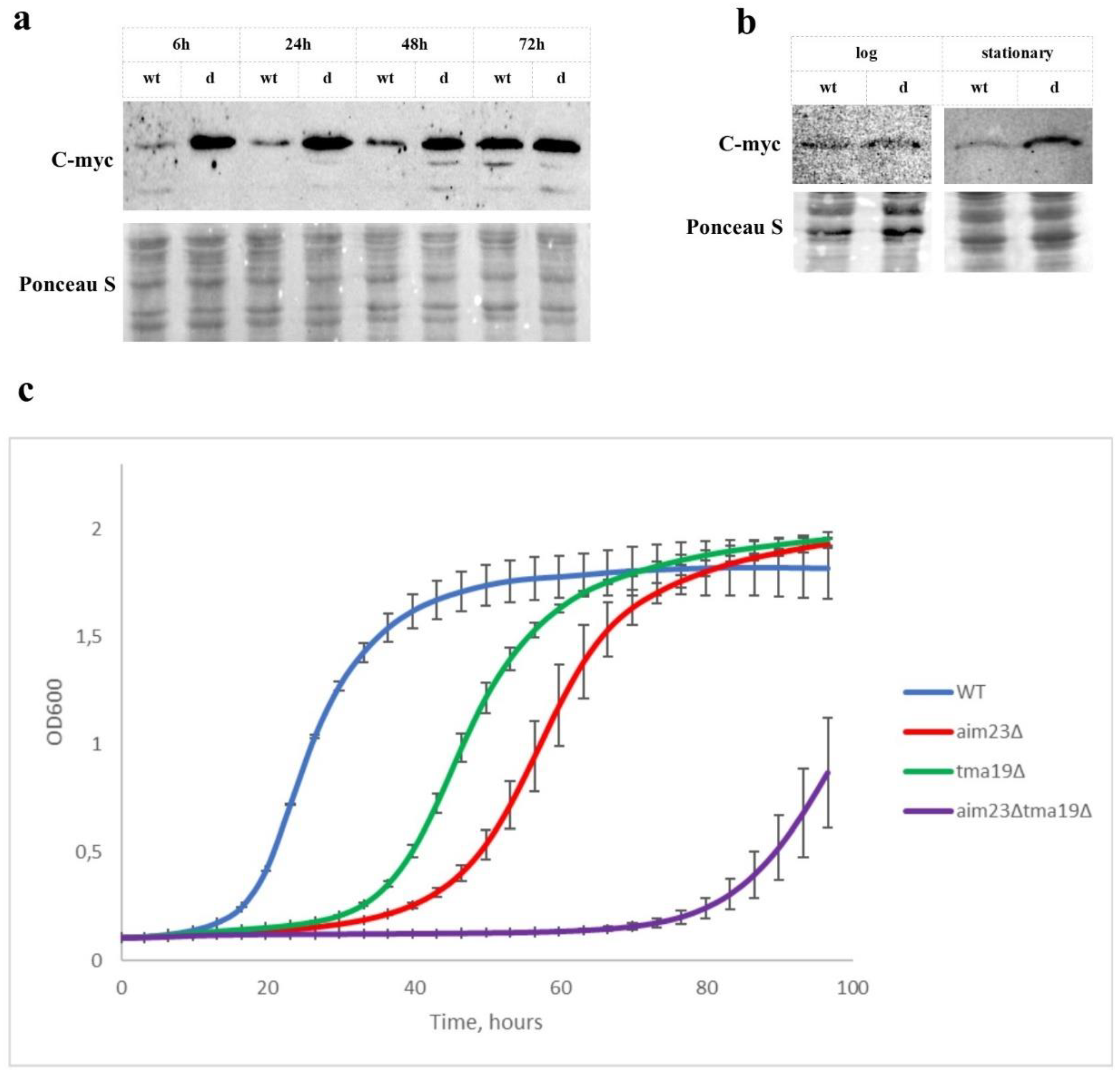 Cells 08 00645 g003 Cells 08 00645 g003