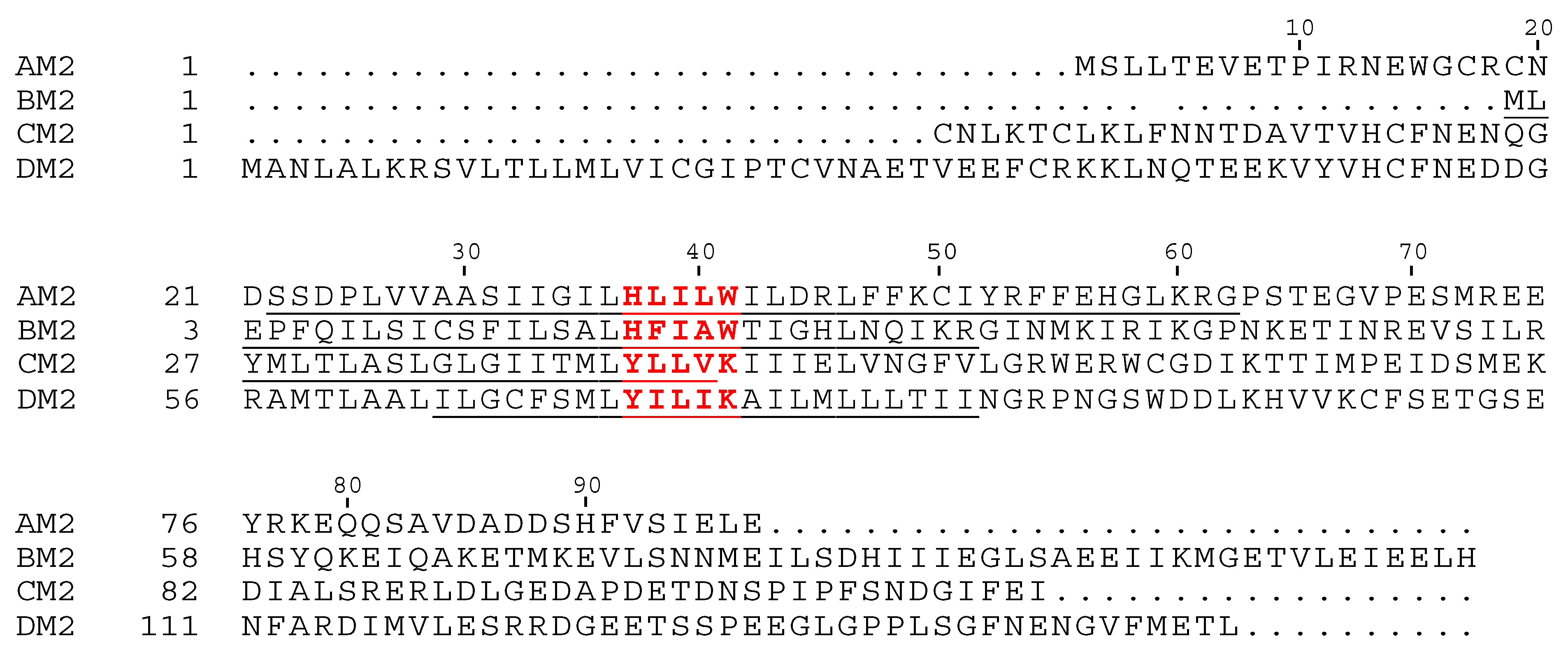 Cells 08 00654 g001