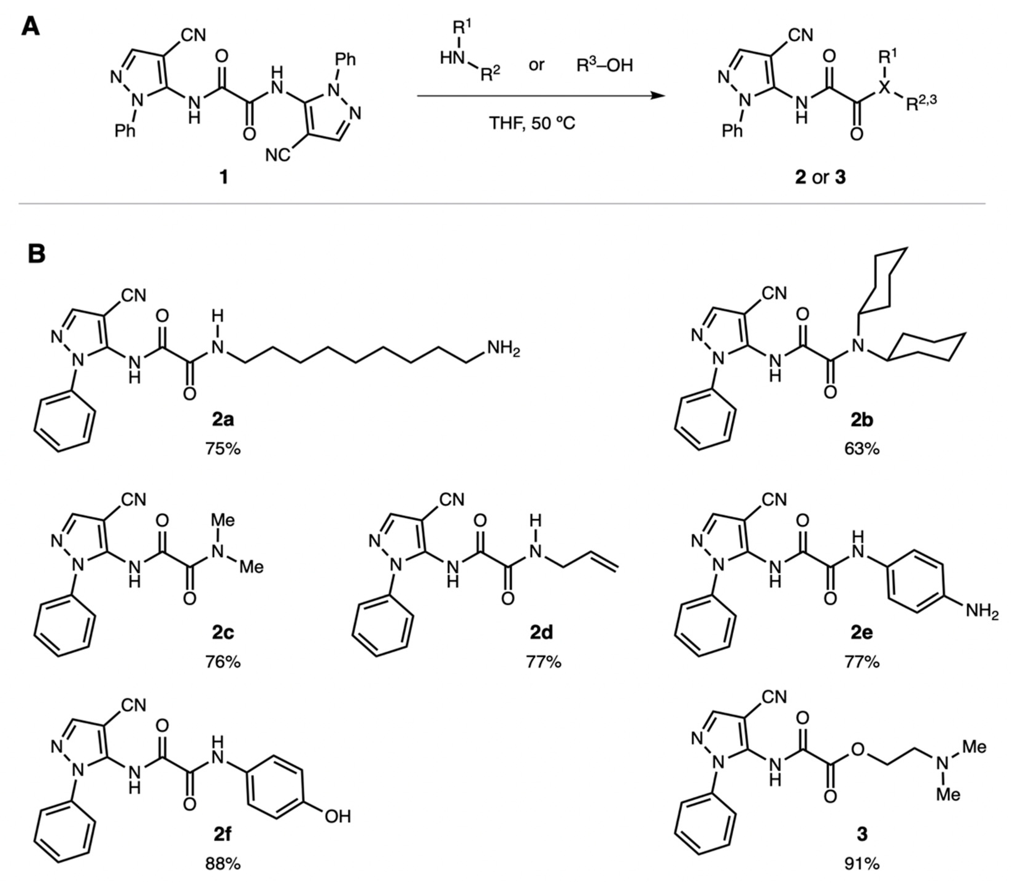 Cells 08 00655 g001 550