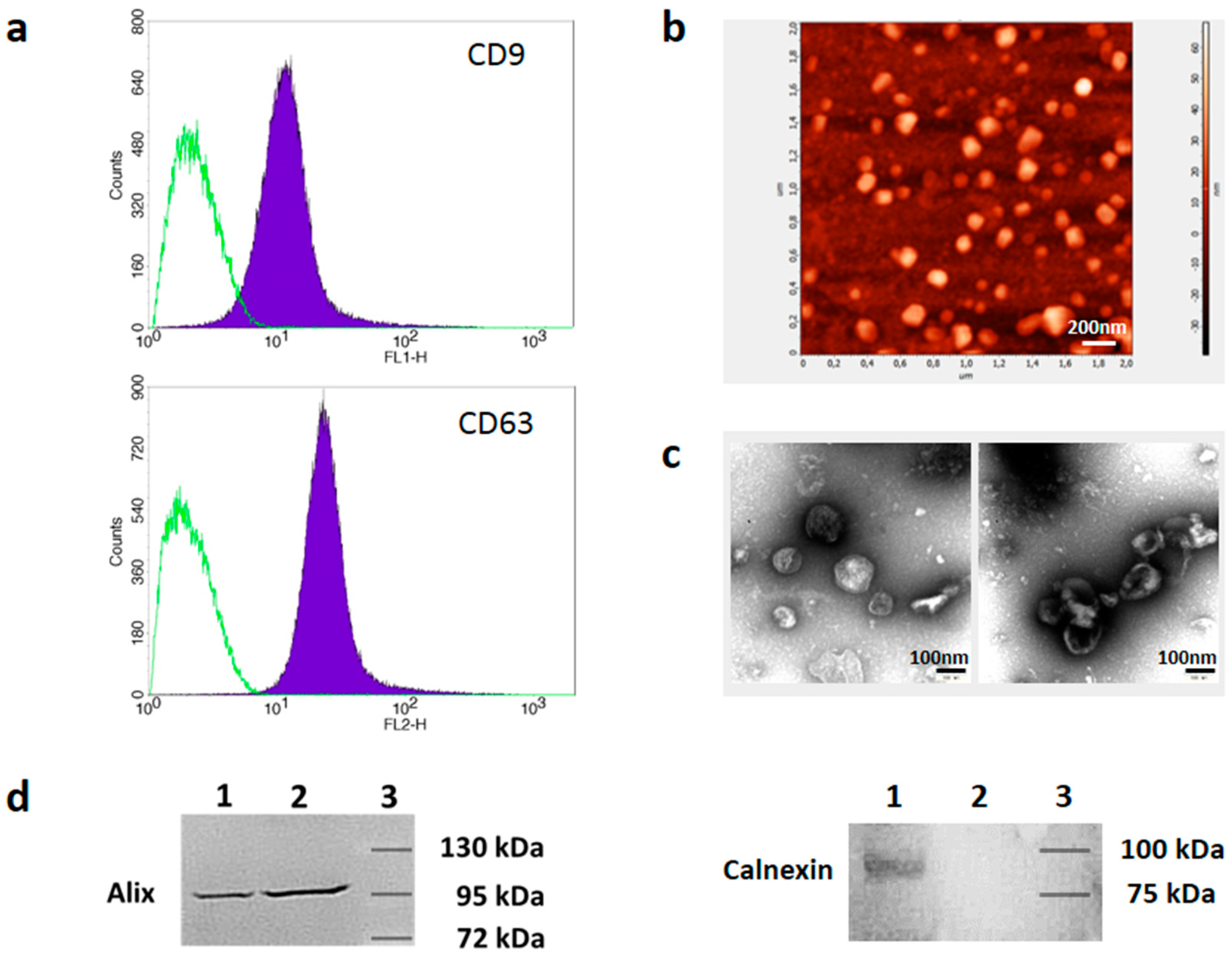 Cells 08 00665 g001