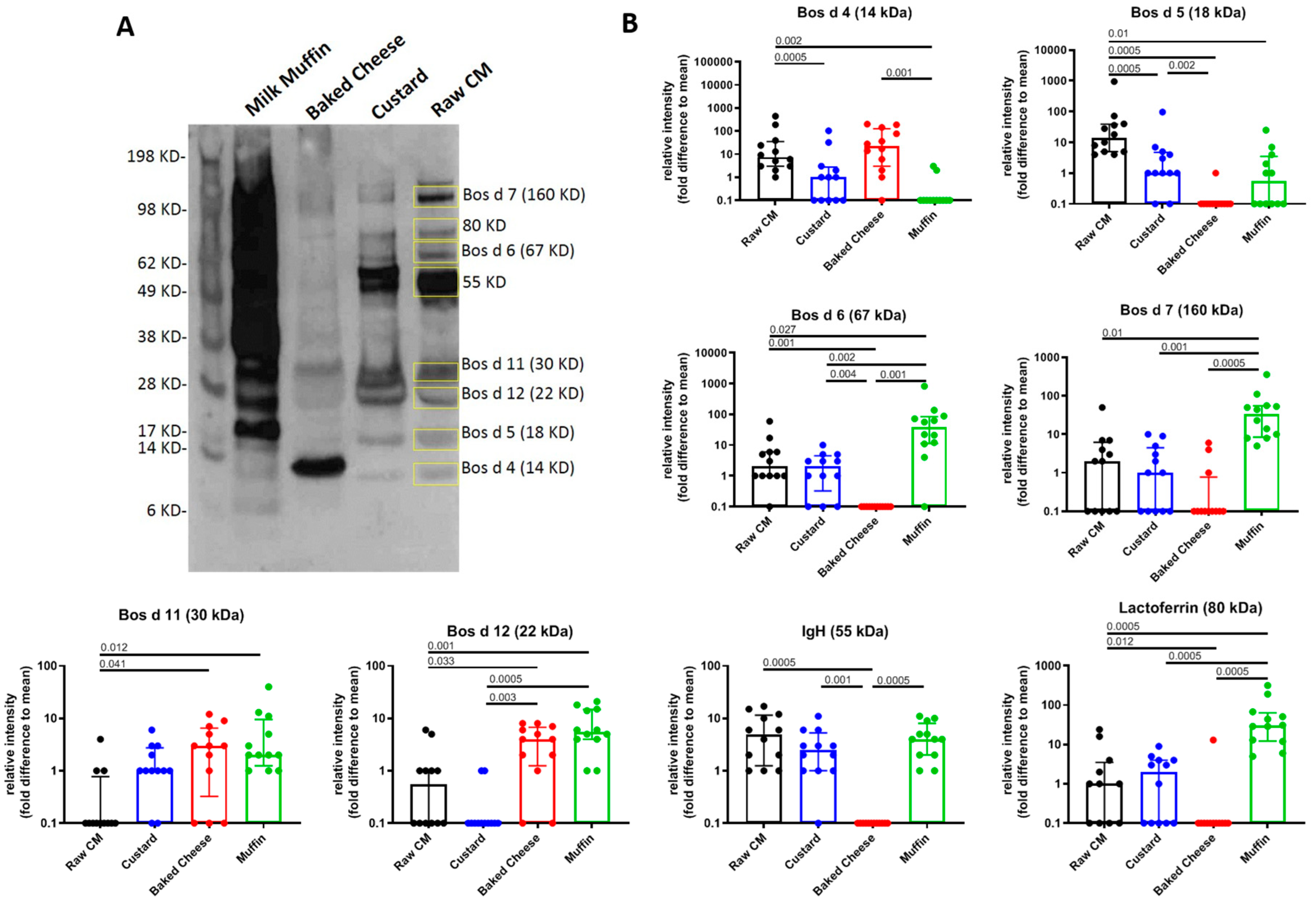 Cells 08 00667 g003 Cells 08 00667 g003