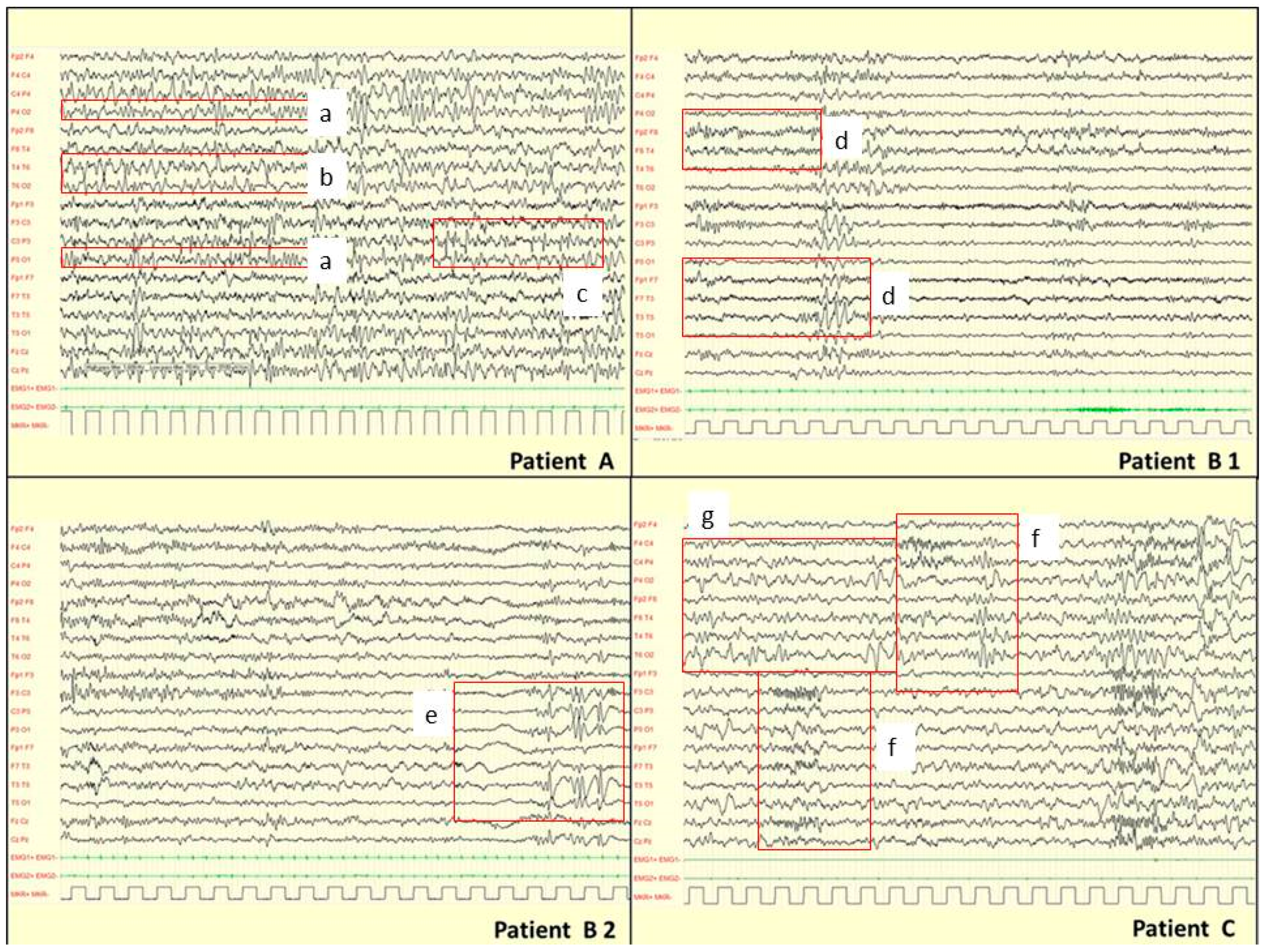 Cells 08 00669 g001 Cells 08 00669 g001