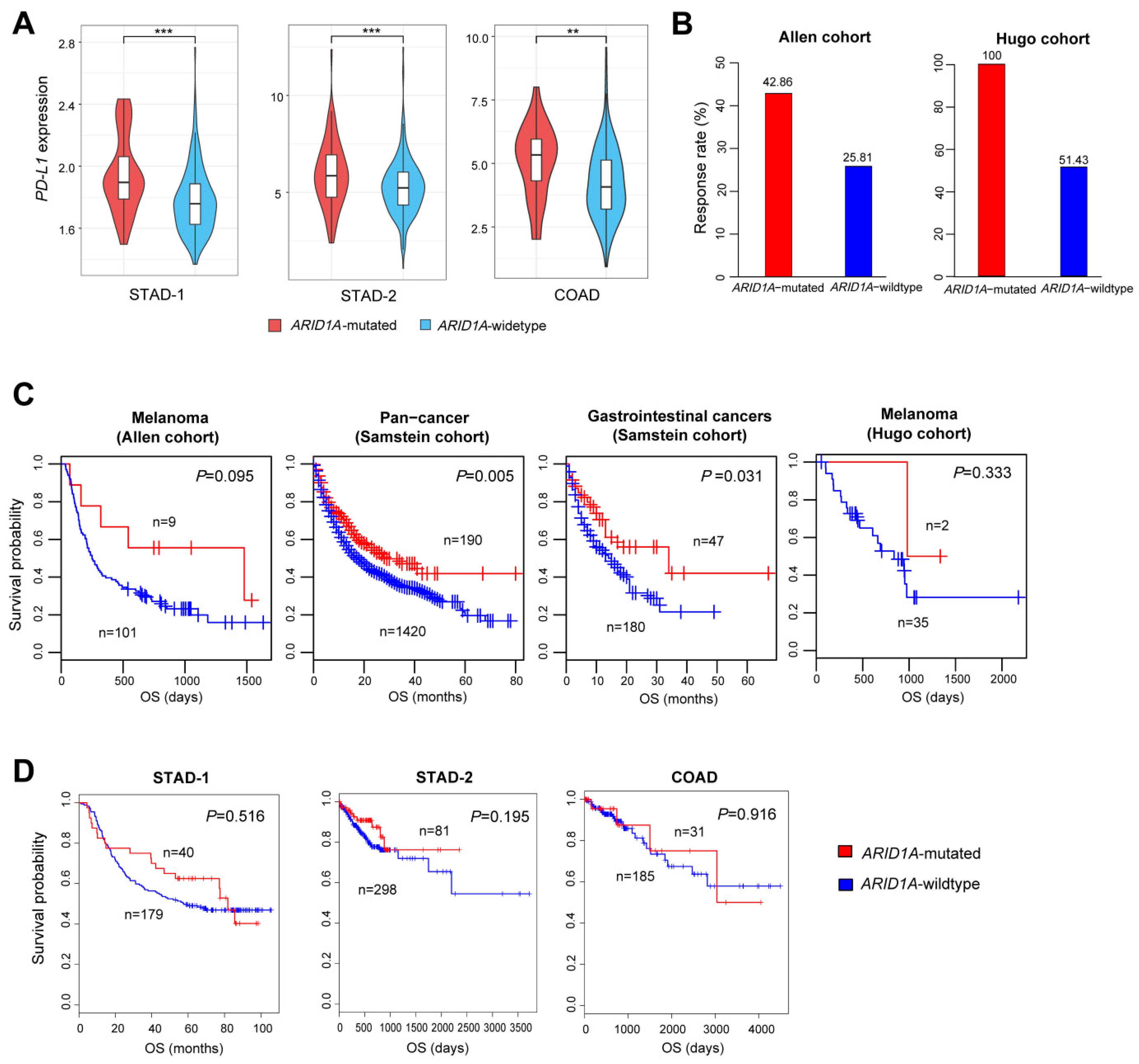 Cells 08 00678 g004 Cells 08 00678 g004