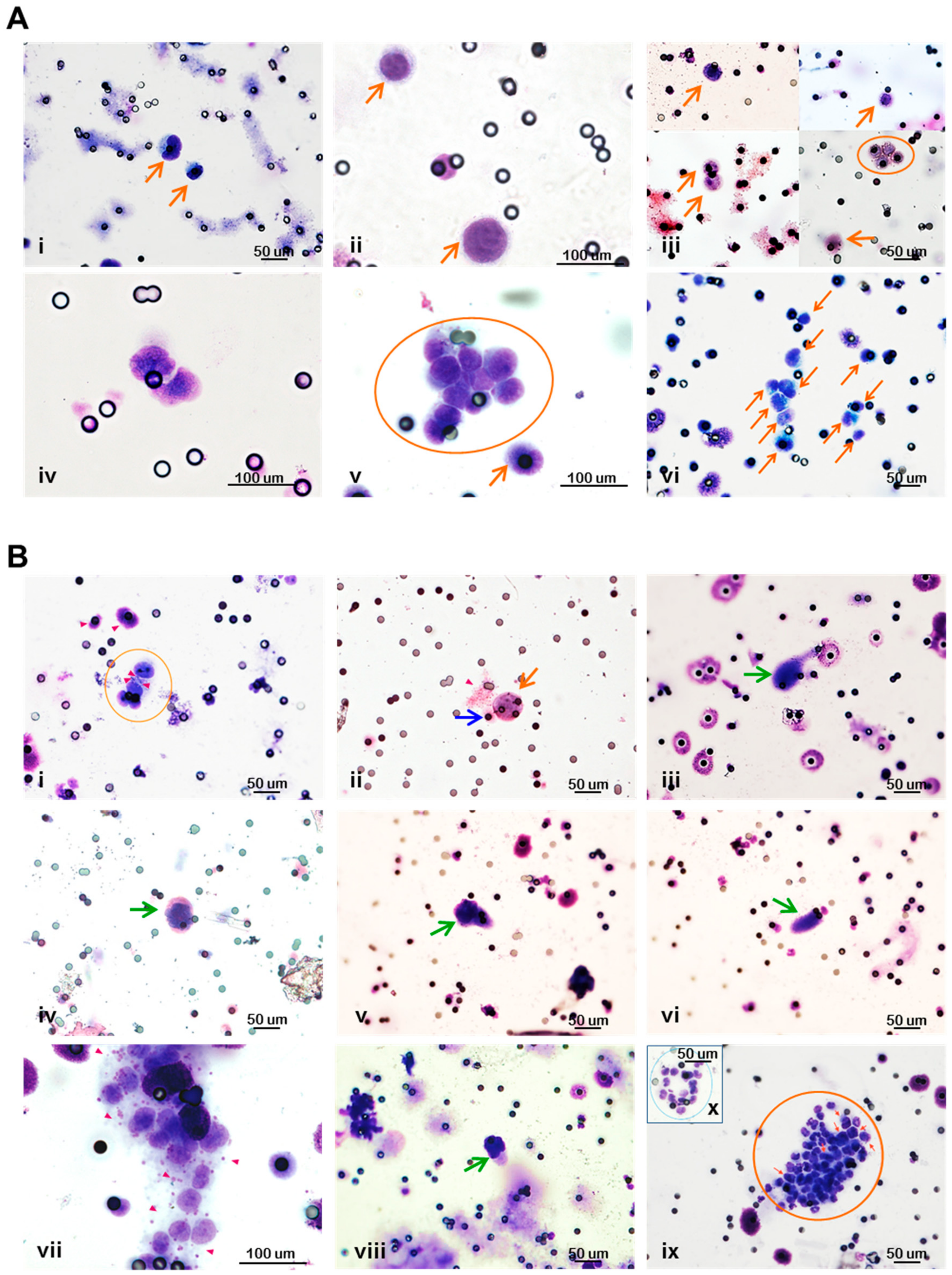 Cells 08 00683 g004 Cells 08 00683 g004