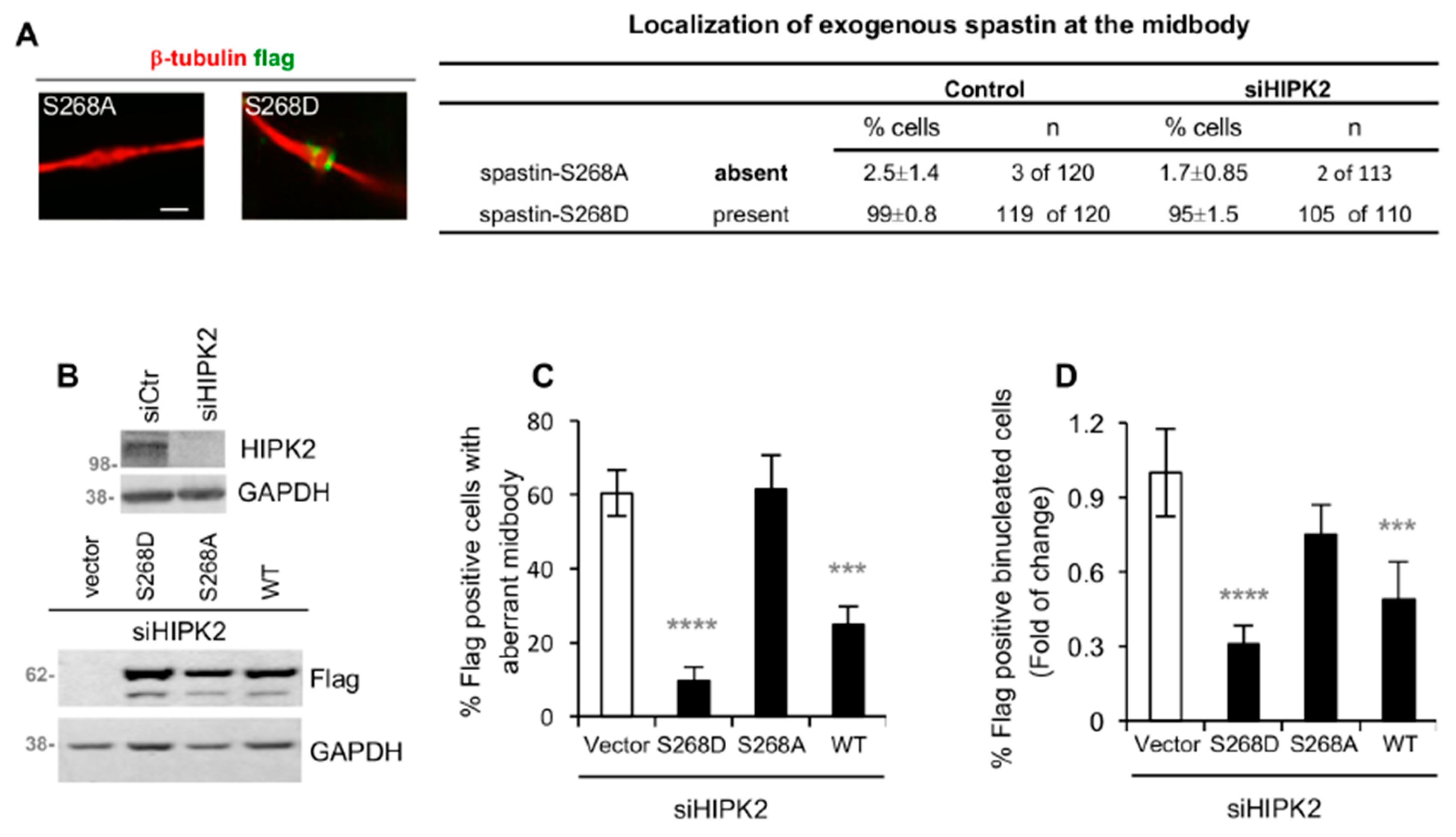 Cells 08 00684 g005 Cells 08 00684 g005