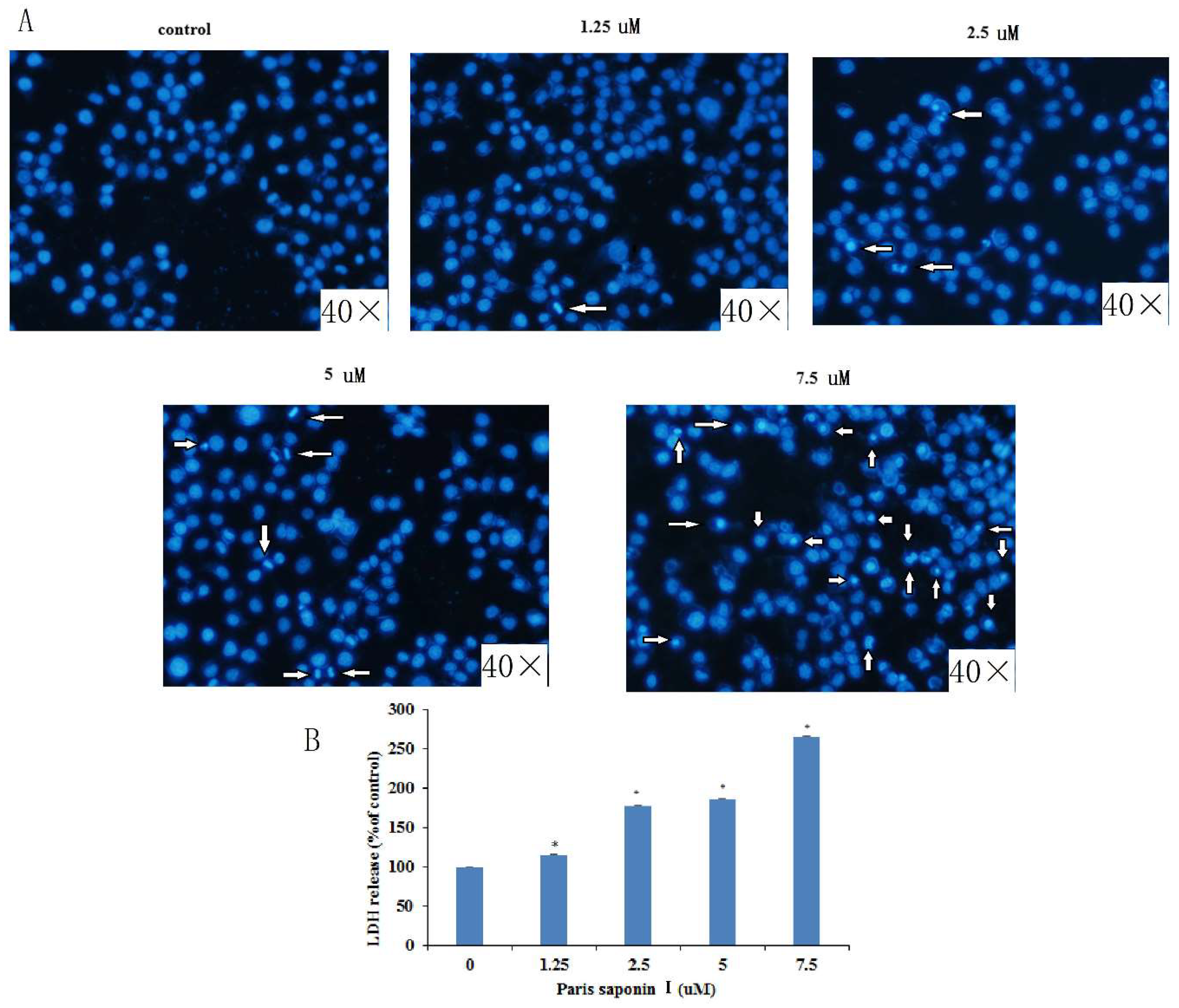 Cells 08 00690 g004 Cells 08 00690 g004