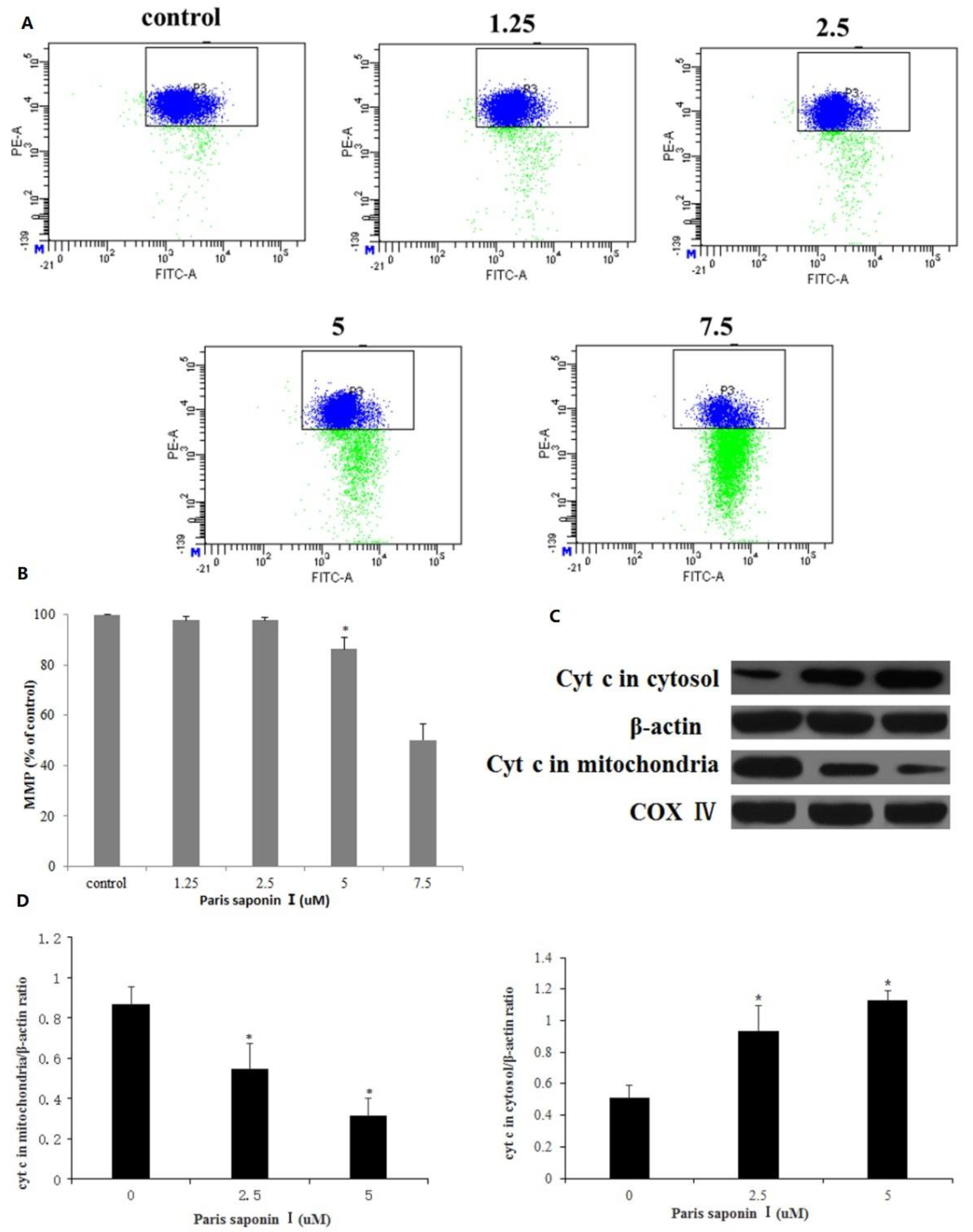 Cells 08 00690 g007 Cells 08 00690 g007