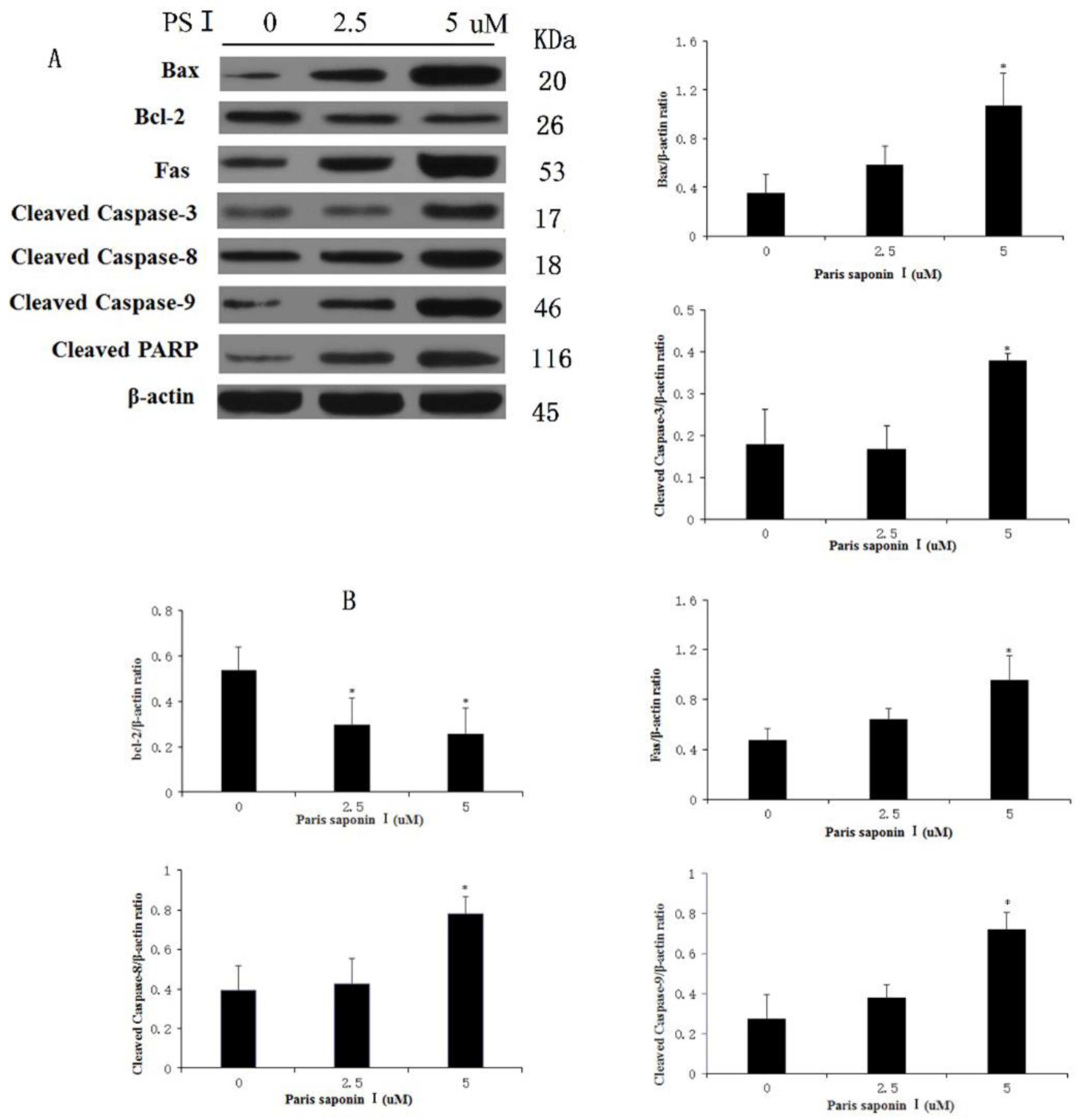 Cells 08 00690 g009 Cells 08 00690 g009