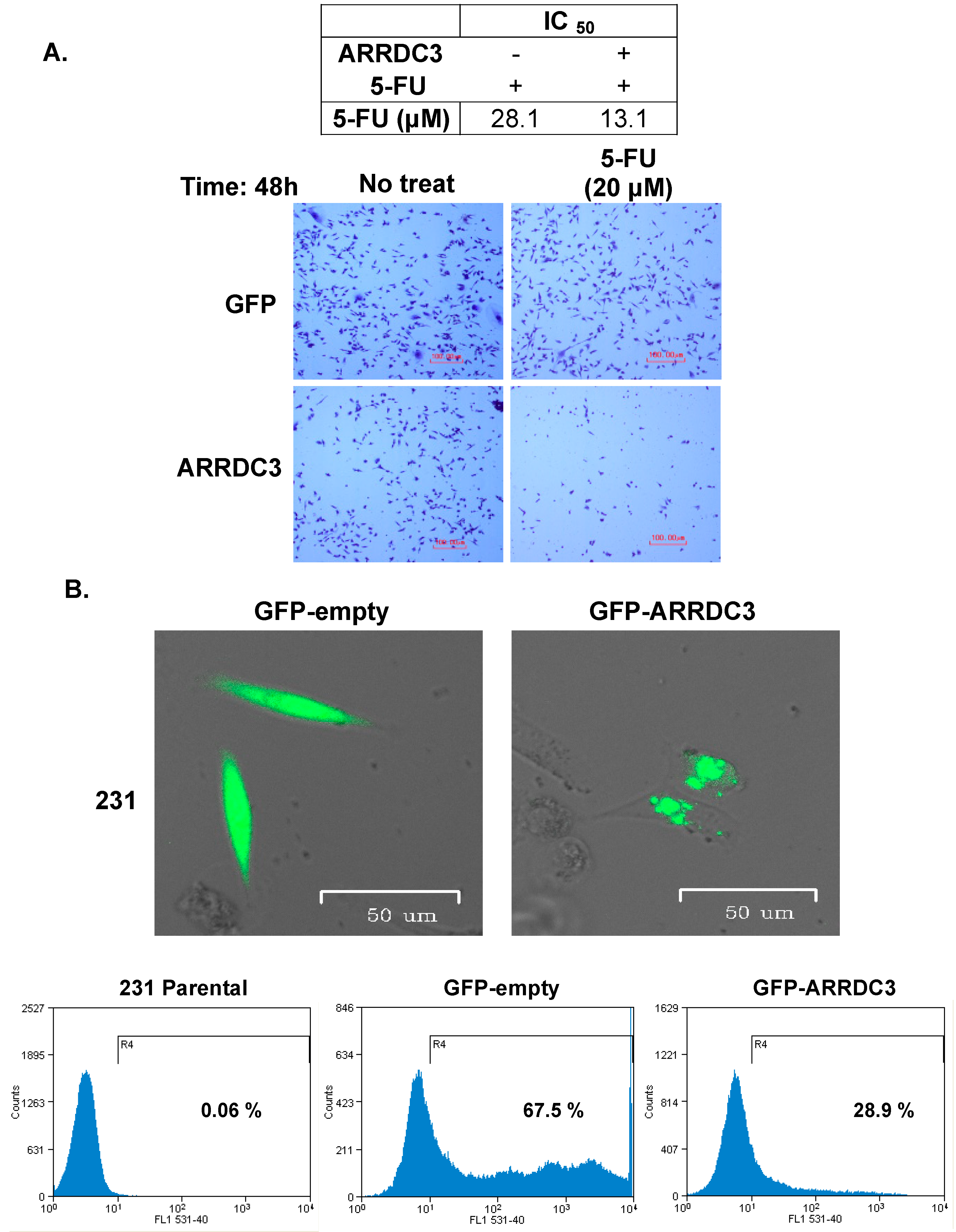 Cells 08 00692 g001a