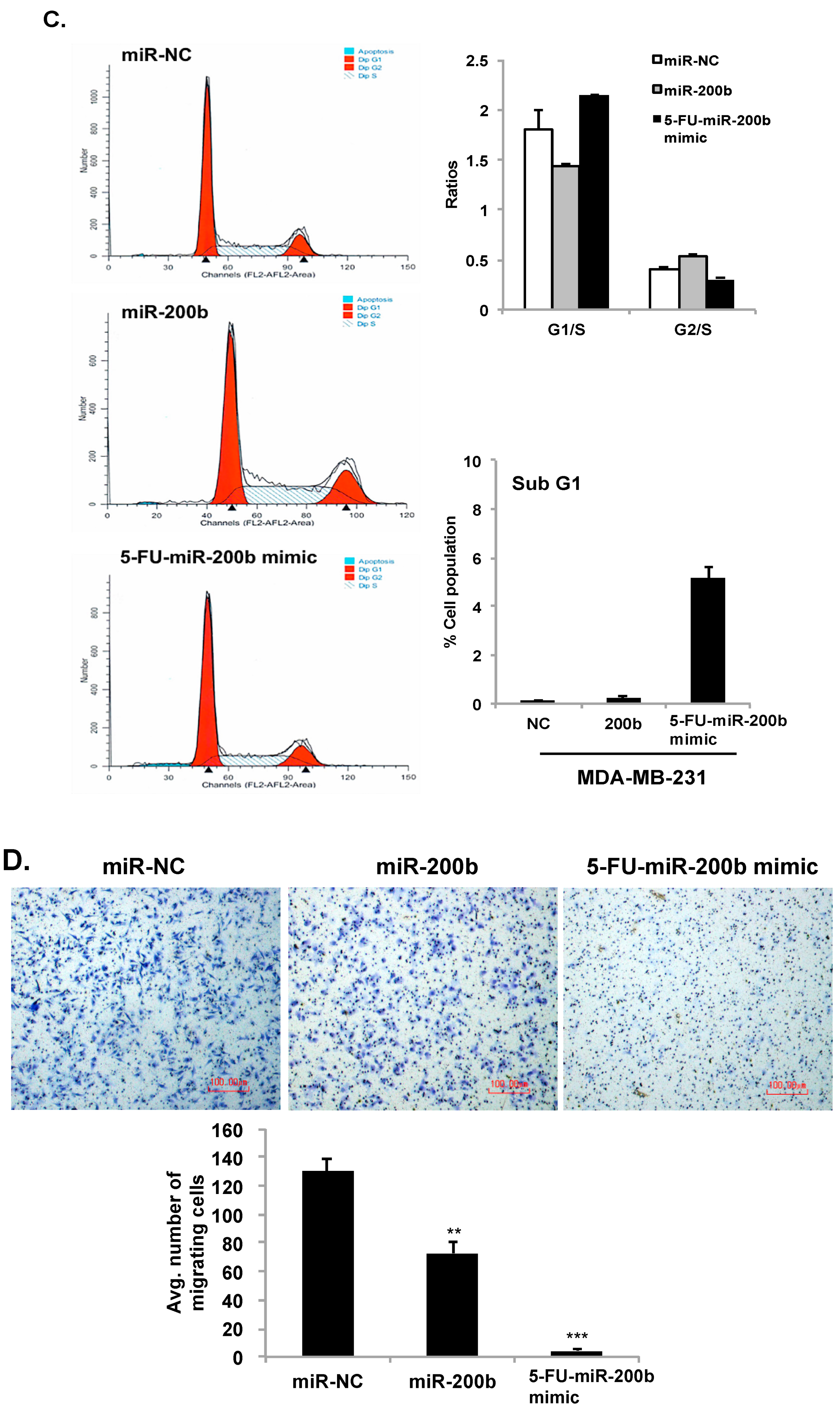 Cells 08 00692 g004b
