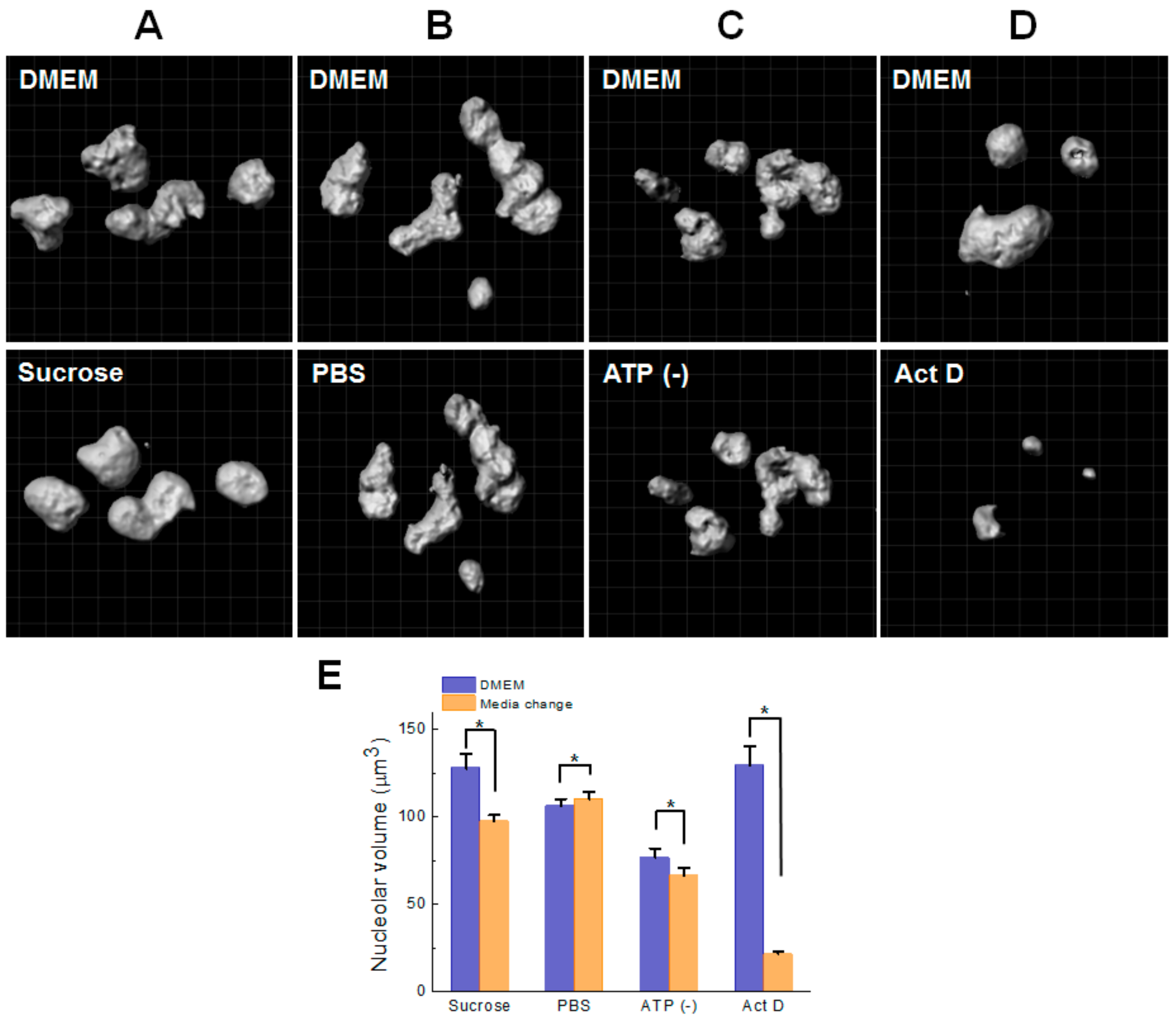 Cells 08 00699 g003 Cells 08 00699 g003