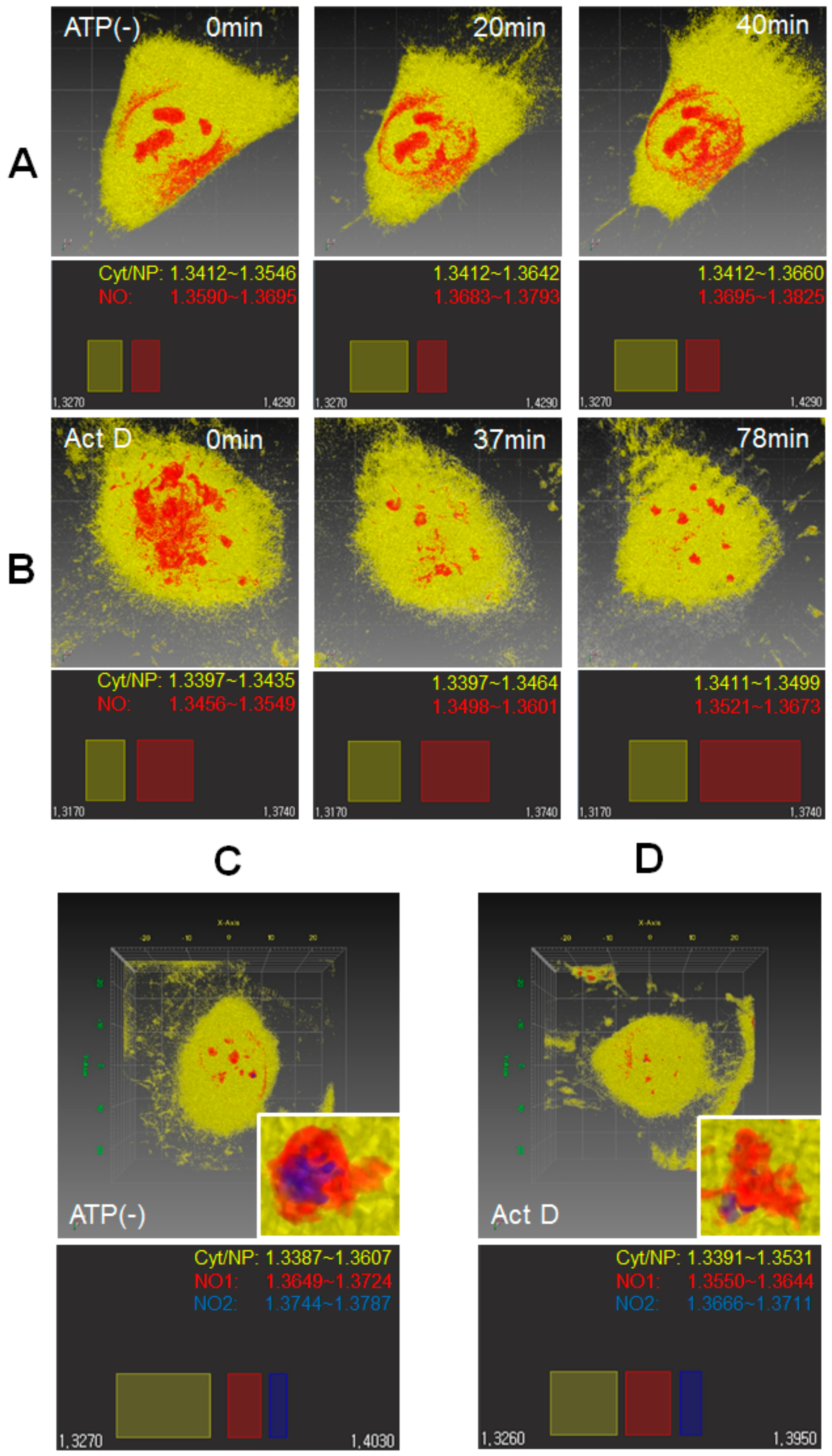 Cells 08 00699 g005 Cells 08 00699 g005