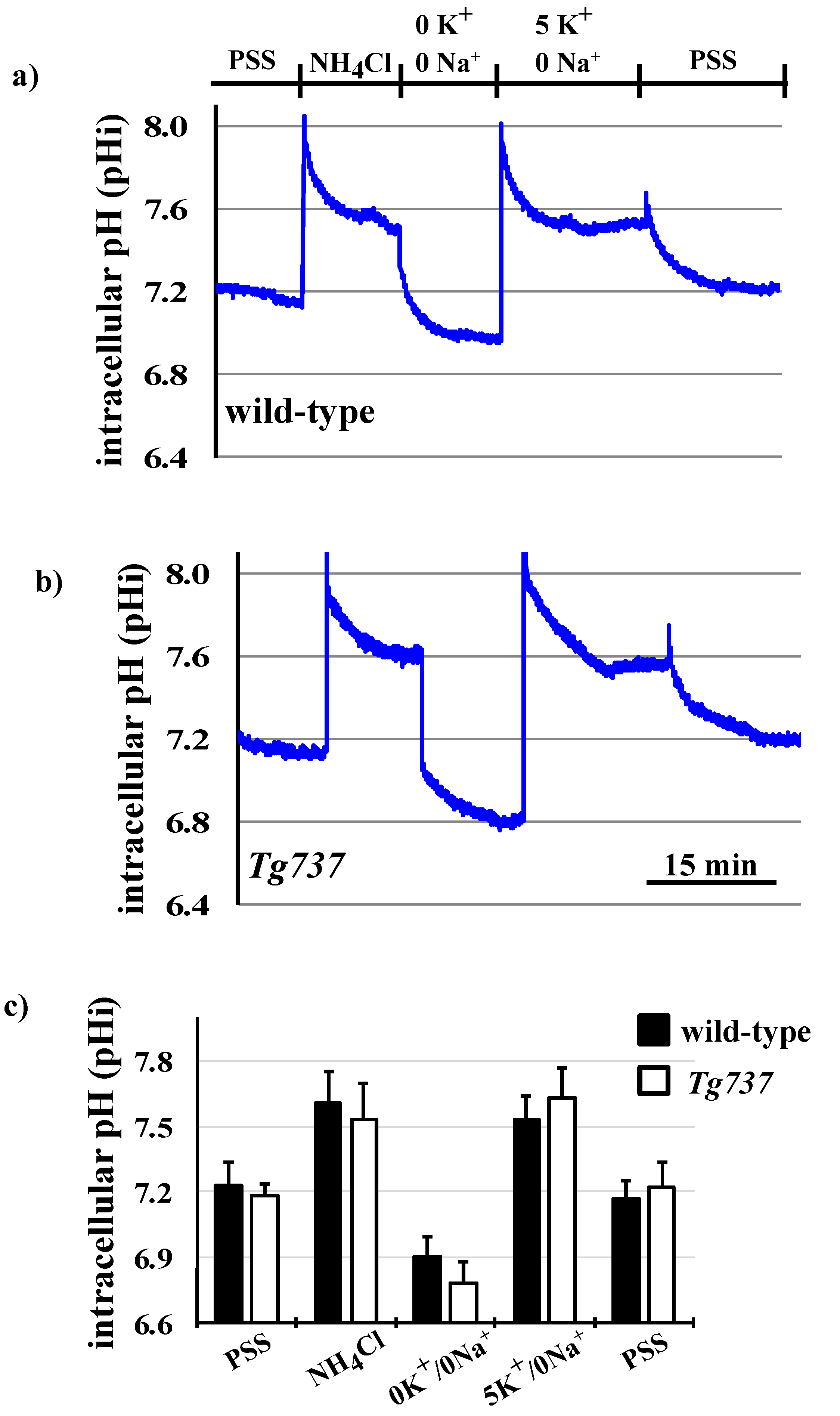Cells 08 00704 g007