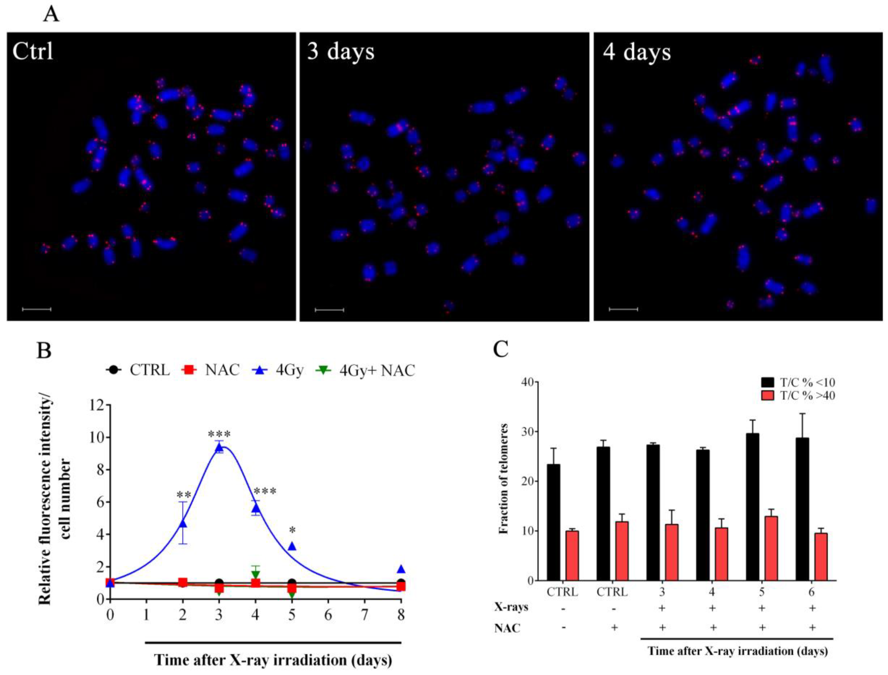 Cells 08 00708 g003 Cells 08 00708 g003